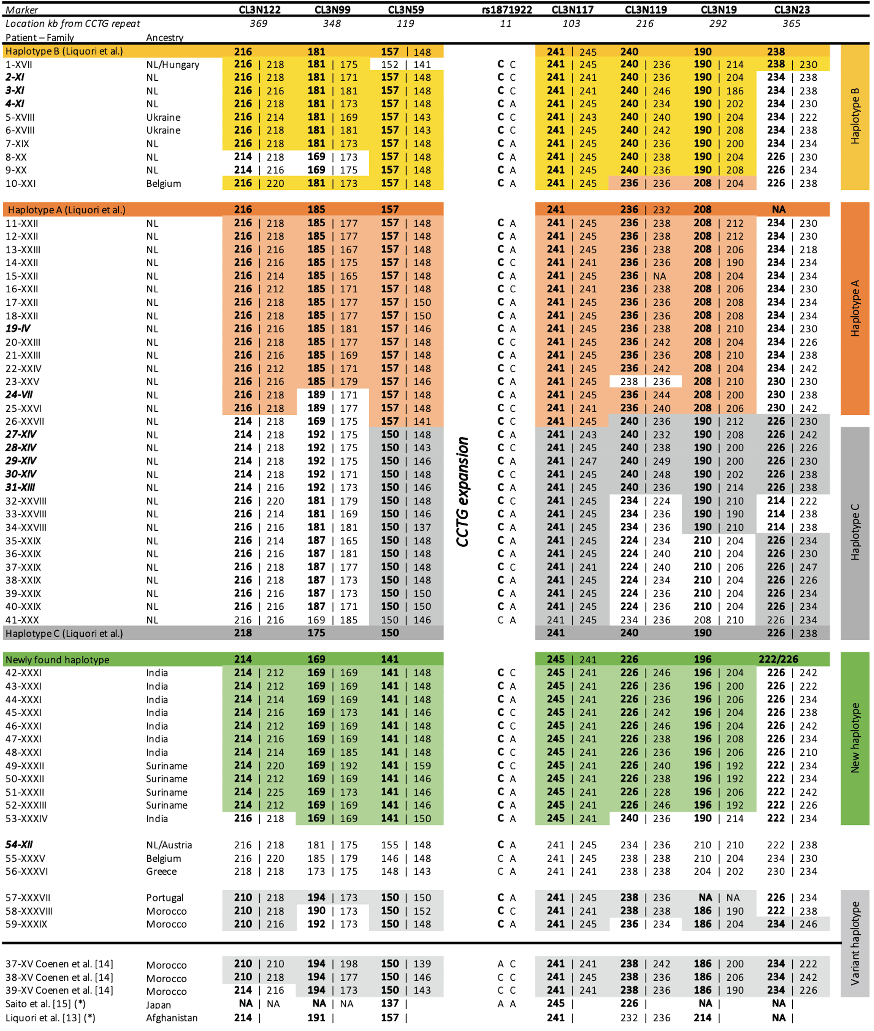 Haplotypes of 59 DM2 patients. (both color and black/white version):NA: not analysed. The length of the analysed markers is expressed in base pairs. Haplotypes are based on earlier reported haplotypes [13–15]. Repeat lengths as reported by Liquori et al. are shown in the first row [13]. The families related to earlier reported patients by Coenen et al. are shown in italic [14]. Patients have been assigned to a haplotype based on the observed repeat lengths. The repeat lengths of the disease-linked alleles are shown in bold. For some individual patients, it was not possible to determine this with certainty. Genotypes shared among the different haplotypes are shaded. * Recalculated reported marker lengths of previous studies to make them comparable to our lengths.