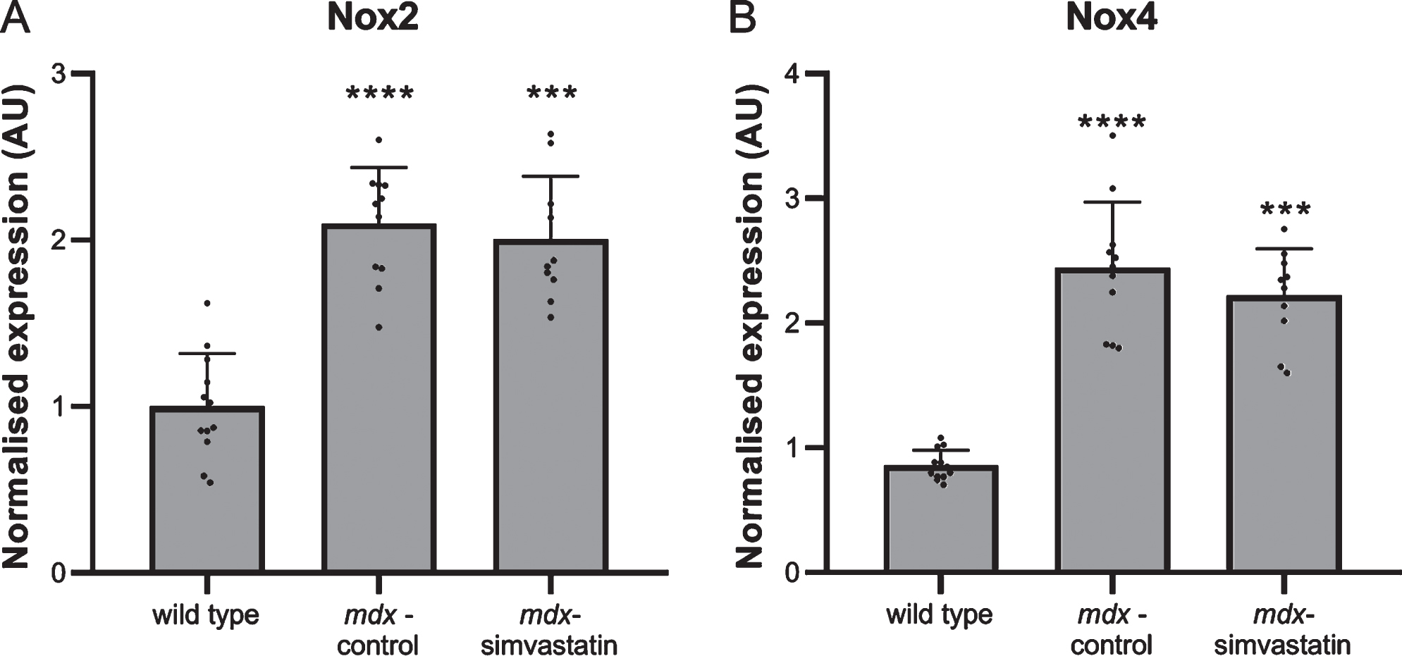 Oxidative stress. Expression of (A) Nox2 and (B) Nox4 in the diaphragm of 24–week old mice after 12 weeks of simvastatin treatment (n = 10–12). ***p < 0.001, ****p < 0.0001 compared to wild type mice.