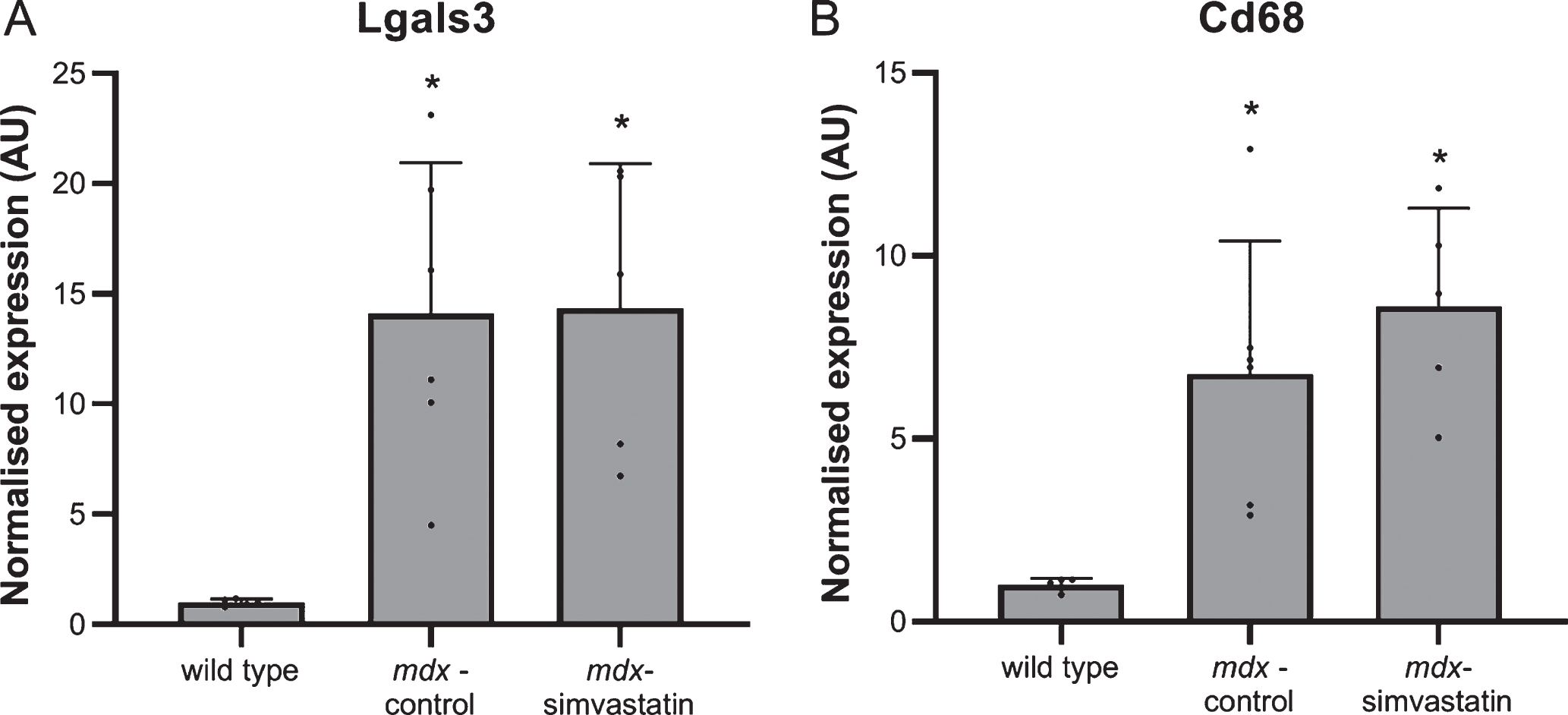 Inflammation. Expression of (A) Lgals3 and (B) CD68 in the diaphragm of 16-week old mice after 12 weeks of simvastatin treatment (n = 5–6). *p < 0.05 compared to wild type mice.