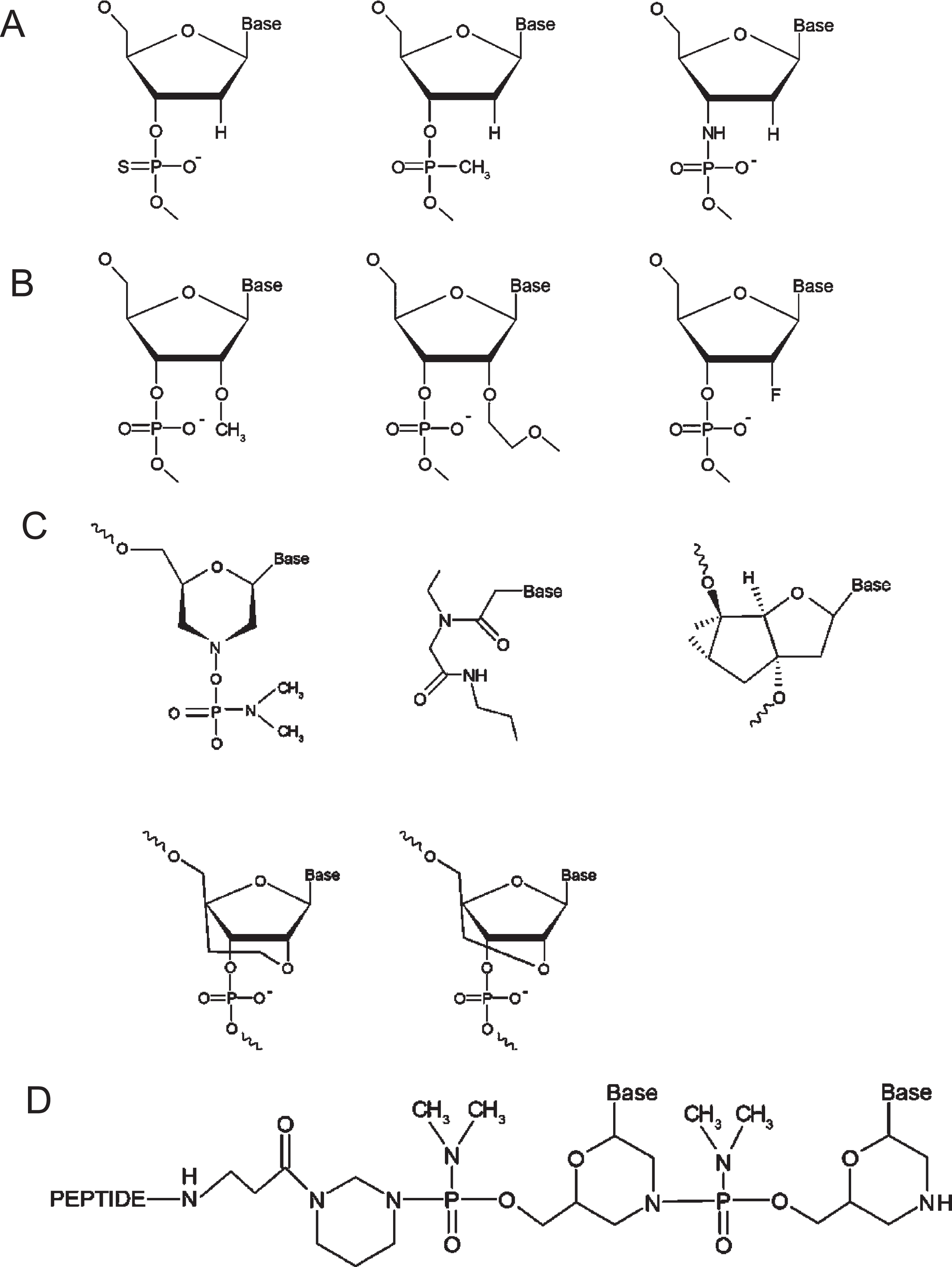 Chemical structures of therapeutic oligonucleotides. A. First generation ASOs, including phosphothioate, methylphosphonate, and phosphoramidate (from left to right). B. Second generation ASOs, including 2′-O-methyl (2′-OMe), 2′-O-methoxyethyl (2′-MOE) and 2′-fluoro (from left to right). C. Third generation ASOs, including phosphorodiamidate morpholinos (PMO), peptide nucleic acids (PNA), and tricyclo-DNAs (upper, from left to right), as well as ethylene-bridged nucleic acids (ENA) and locked nucleic acids (LNA)(lower, from left to right). D. The new generation of peptide-conjugated PMOs (PPMOs). Figure 2 adapted from Tsoumpra MK, et al. EBioMedicine. 2019;45:630–45.