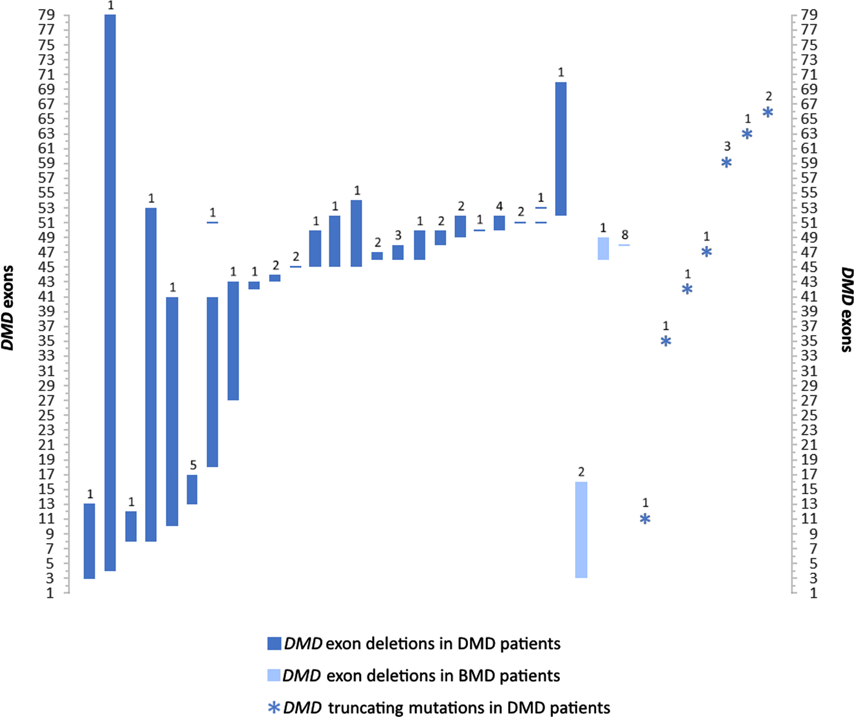 Exonal dystrophin (DMD) deletion and truncating mutation patterns in patients with DMD and BMD in this study. Values over each bar represent the number of patients for each of the 36 variants. Remaining DMD mutations including duplication, translocation, and splice site variants are described in Table 2.