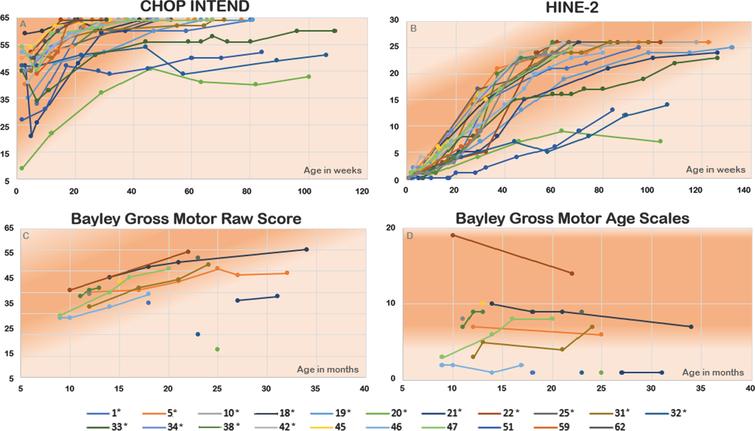 (A) Course of CHOP INTEND scores, (B) Course of HINE-2 scores. X-axis: Age in weeks, y-axis: scoring results. (C) Bayley gross mwallowingw score and (D) Bayley gross motor age scales. X-axis: Age in months, y-axis: scoring results. The more intensely colored area represents the norm range of healthy children. *Data from HINE-2 and CHOP INTEND from patients 1-43 have already been published in our previous manuscripts [5, 6].