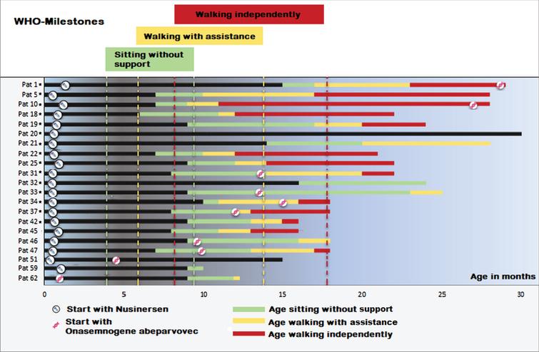 Age at achievement of WHO-Milestones. Green: Sitting without support, yellow: walking with assistance, red: walking independently. Sign “syringe”: Start of therapy with Nusinersen. Sign “double helix”: Treatment with Onasemnogene abeparvovec. *Data from patients 1-43 have already been published in our previous manuscripts [5, 6].