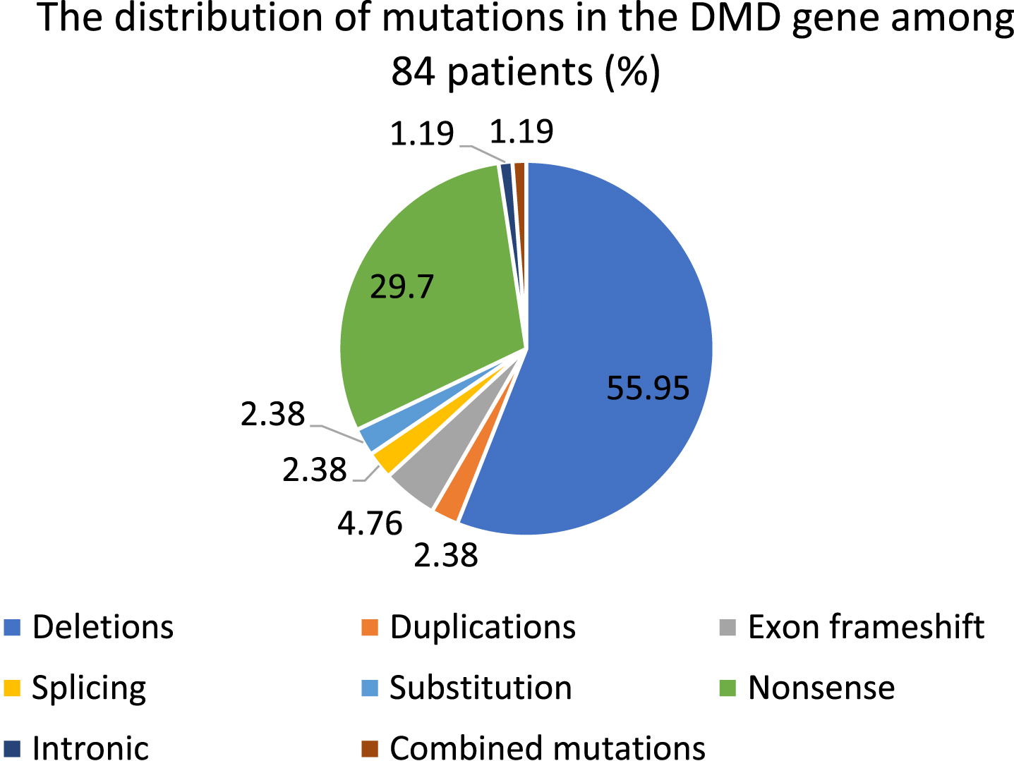 The distribution of DMD pathogenic variations among patients (total number is 84 (in %)).