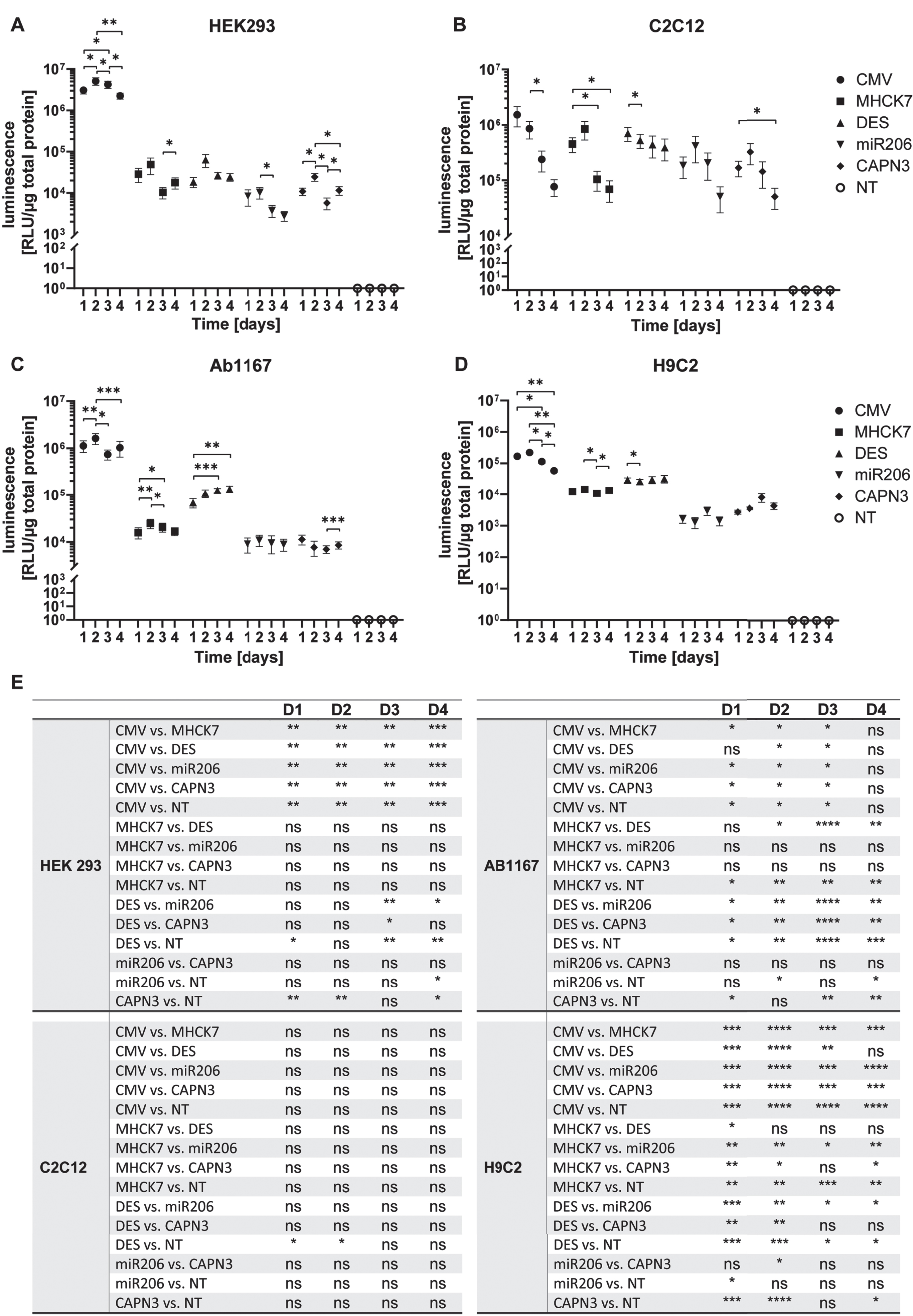 Promotor activity and specificity measured by luciferase assay in different proliferating cell types. (A–D) Proliferating HEK293 (A), C2C12 (B), HSKM-Ab1167 (C) and H9C2 (D) were transfected with the constructs encoding luciferase under control of respective promotors. Luciferase activity was measured on day 1, 2, 3 and 4 post transfection. All samples were normalized to 1μg total protein and datapoints represent mean values±SEMs using a log10 scale (n = 4). Asterisks represent significant differences over 1–4 days within each promotor group (*p < 0.05; **p < 0.01; ***p < 0,001). (E) Overview of all significant differences (*p < 0.05; **p < 0.01; ***p < 0,001; ****p < 0,0001; ns = not significant) derived by the promotor driven luciferase activity at day 1, 2, 3 and 4, respectively.