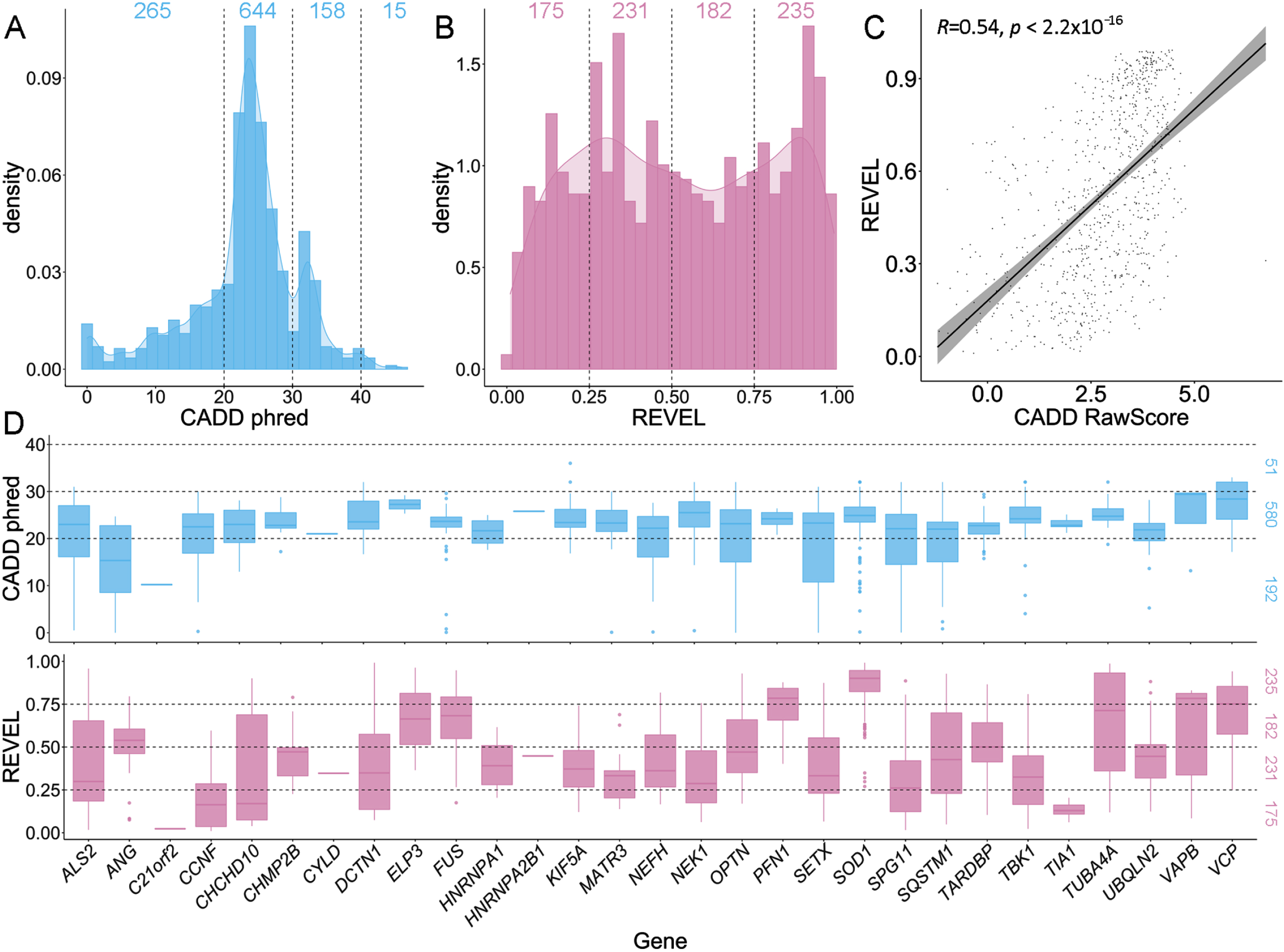 Comparison of CADD and REVEL predicted deleteriousness scores for all rare ALS-implicated variants. A) Density plot of CADD phred scores for all 1,082 rare variants of any variant type. Supplementary Fig. S2 provides a further breakdown of CADD phred scores per gene for different variant types. B) Density plot of REVEL scores for the 823 rare missense variants. C) Scatter plot with regression line (cor = 0.5372964) and Pearson’s correlation testing (p < 2.2x10-16) of CADD RawScore and REVEL scores for the 823 rare missense variants. D) Box plots of CADD phred and REVEL scores per ALS gene for the 823 rare missense variants.