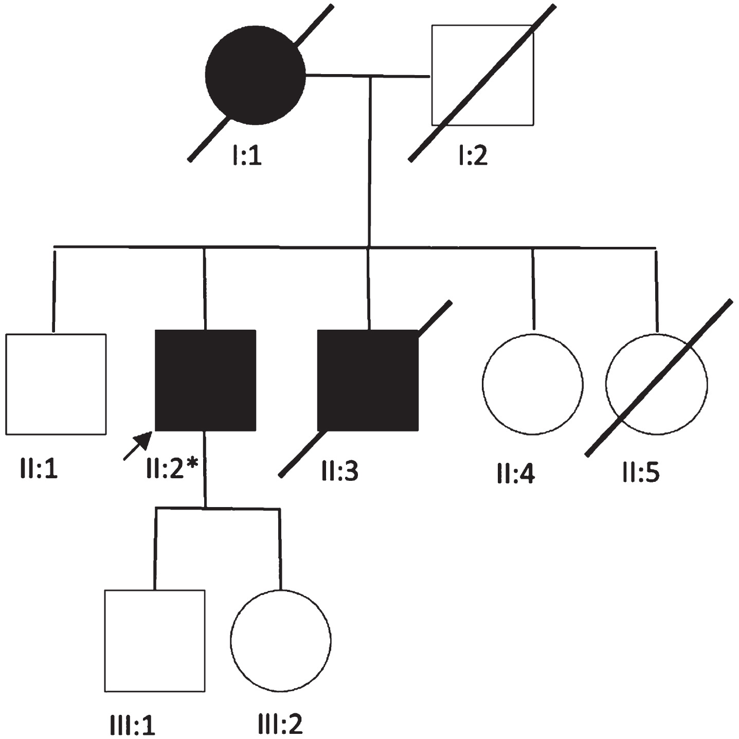 Family tree. *p.R528H (c.1583G>A).