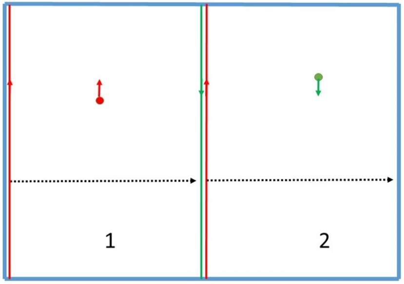 A simplified illustration of the principal possibility of doubling the UCN density by adding UCNs with opposite polarization directions in one volume. The storage volume is shown with thick blue line. Magnetized foils can slide along the inner walls, shown by red and green lines with arrows.