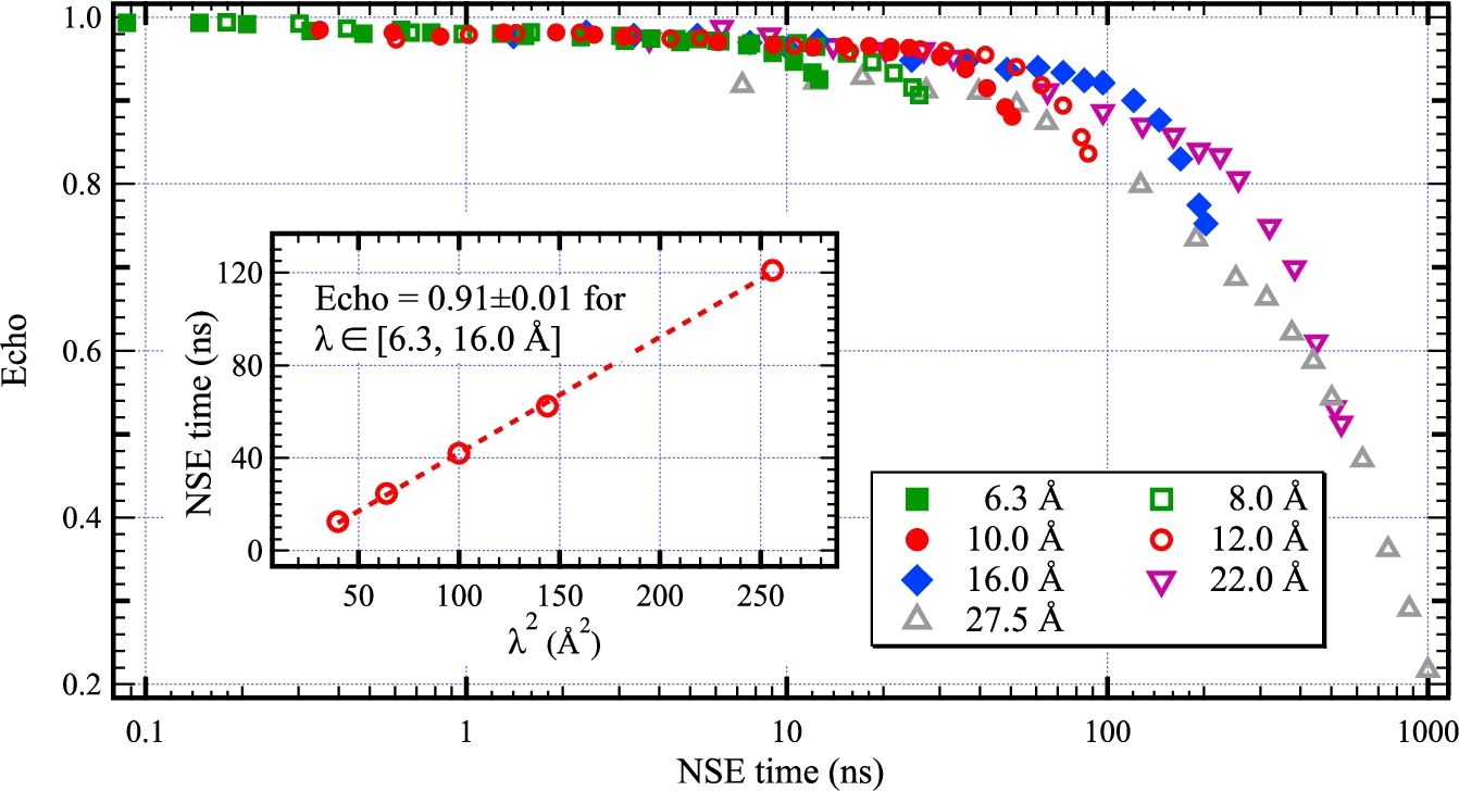 Measured NSE signal at different incoming neutron wavelengths for a predominantly elastically scattering resolution calibration sample [3] at the IN15 spectrometer at ILL. From 6.3 to 16 Å, the NSE times where the NSE signal drops from its saturation value at short times to 0.9 is proportional to λ2. At 22 and 27.5 Å, the neutron pathlength inhomogeneities strongly increased compared to shorter wavelengths.