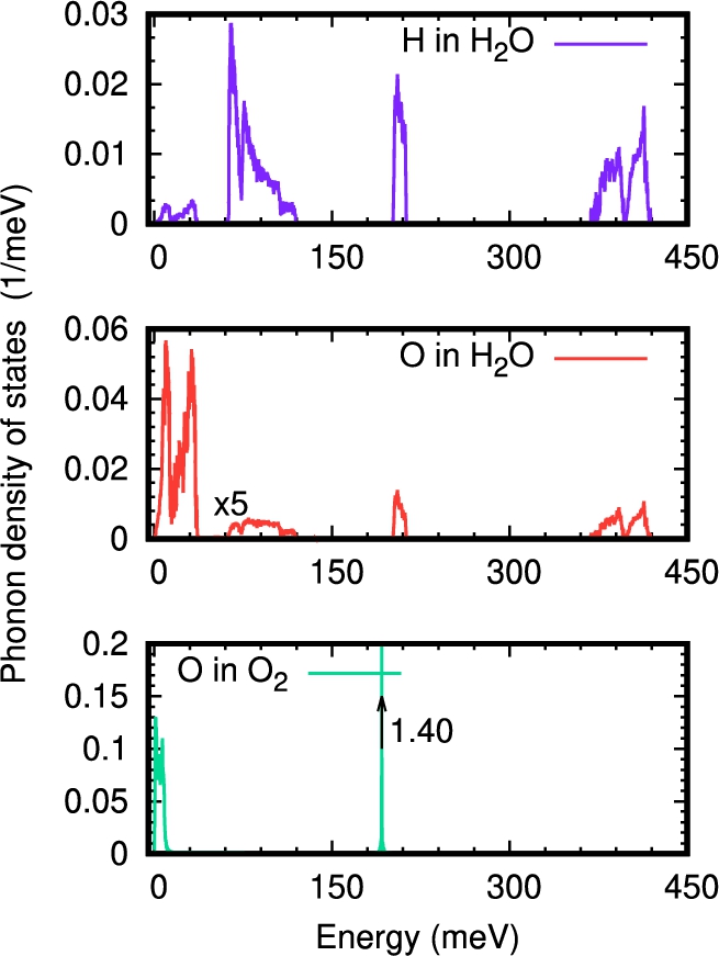 The phonon density of states of O2-H2O clathrate projected on the different atomic species obtained from atomistic simulations (see text). Each projected PDOS is normalized to one. The total PDOS can be obtained by summing the projected PDOS multiplied by the number of corresponding atoms in the unit cell. For the sake of clarity, the projected PDOSs are multiplied by five above 50 meV for O in water.