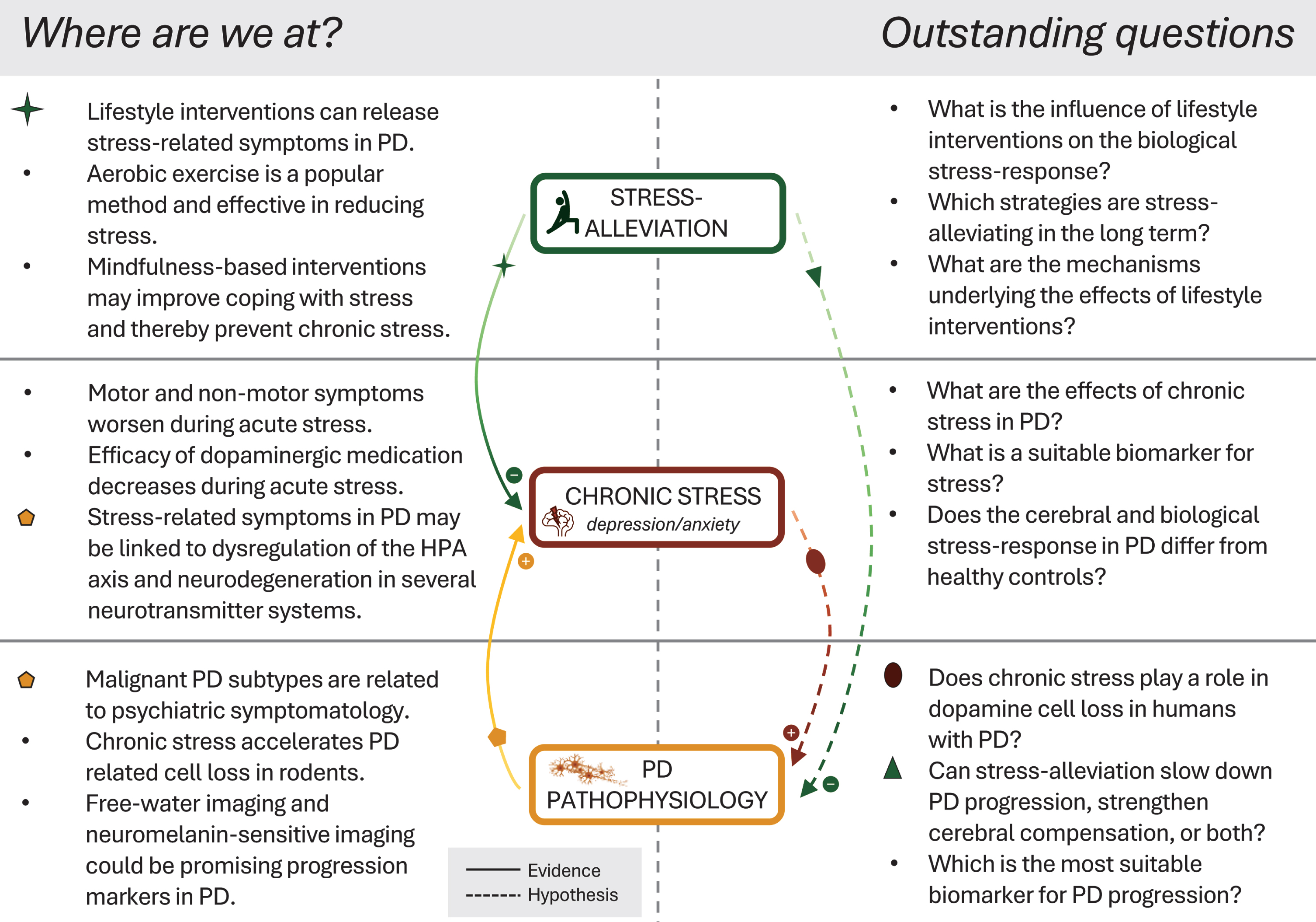 Current advances and outstanding questions in the field. Left-hand panel illustrates the most crucial findings of recent evidence. Solid lines indicate the influence of stress-alleviation on chronic stress, and the pathophysiological link of Parkinson’s disease to stress and related non-motor symptoms. Right-hand panel and dashed lines illustrate outstanding questions and hypotheses regarding disease-modifying effects of stress and stress-alleviation in Parkinson’s disease. PD, Parkinson’s disease; HPA, hypothalamic-pituitary-adrenal.