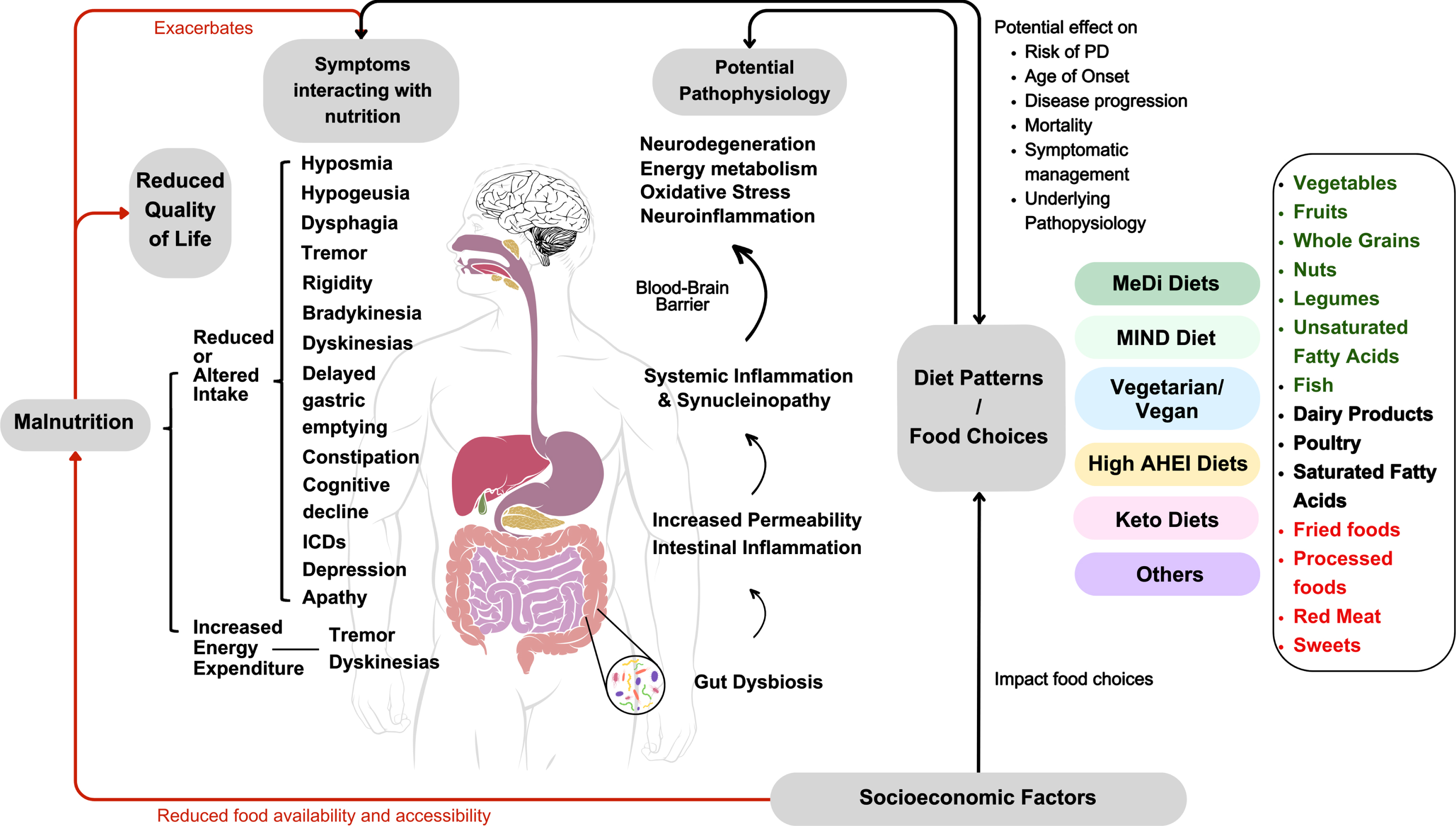 Summary of the complex interactions of dietary patterns and food choices with socioeconomic factors, PD-related malnutrition, disease pathophysiology, symptoms and quality of life.