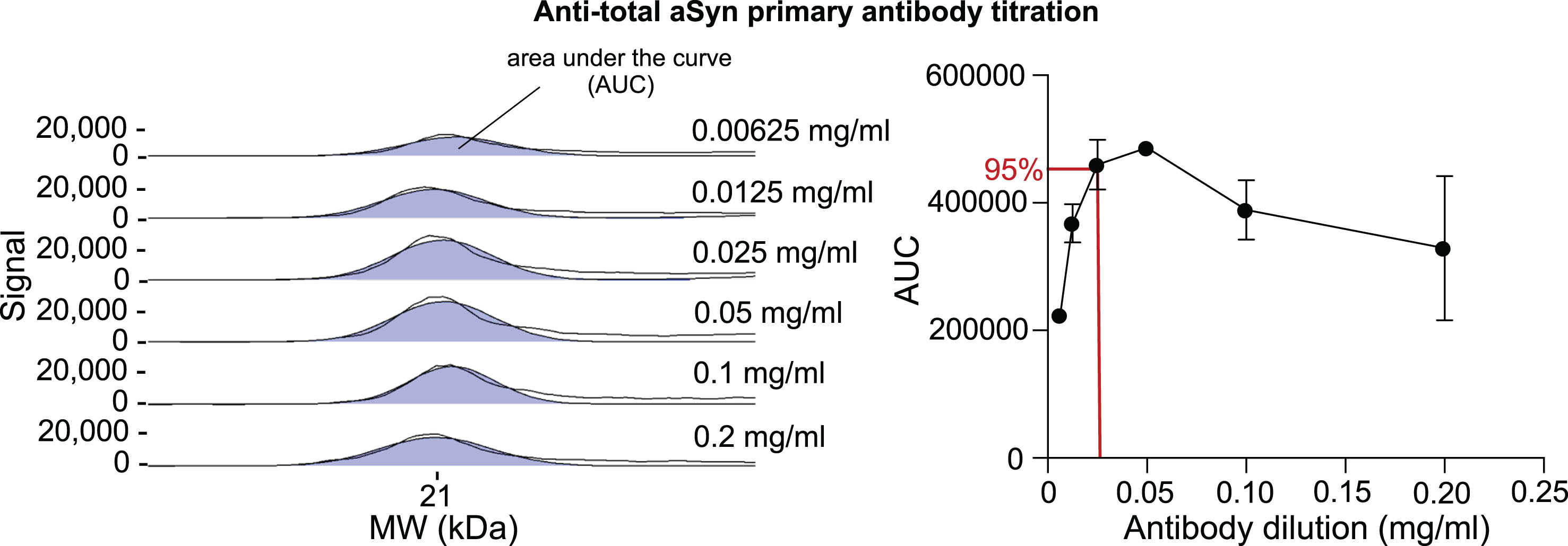 Optimization of anti-total aSyn antibody dilution for CE in midbrain tissue. A midbrain tissue lysate with a protein concentration of 0.2 mg/ml was subjected to CE Simple Western immunoassay using anti-total aSyn antibody in a range of dilutions (1 : 160, 1 : 80, 1 : 40, 1 : 20, 1 : 10, 1 : 5). The total aSyn signal is shown as the area under the curve (AUC) in the selected electropherograms (left). The two black lines in each electropherogram represent both the original curve and an adaptation to the fitted peaks. Values for the AUC at 21 kDa of different antibody dilutions were automatically quantified by the Compass for Simple Western software and depicted as a saturation curve (right). To reach a 95-99% antibody saturation range, a protein concentration of 0.025 mg/ml (1 : 40) for the anti-total aSyn antibody is required (red lines). This dilution was used for all subsequent experiments, including the detection of total aSyn in different tissues.