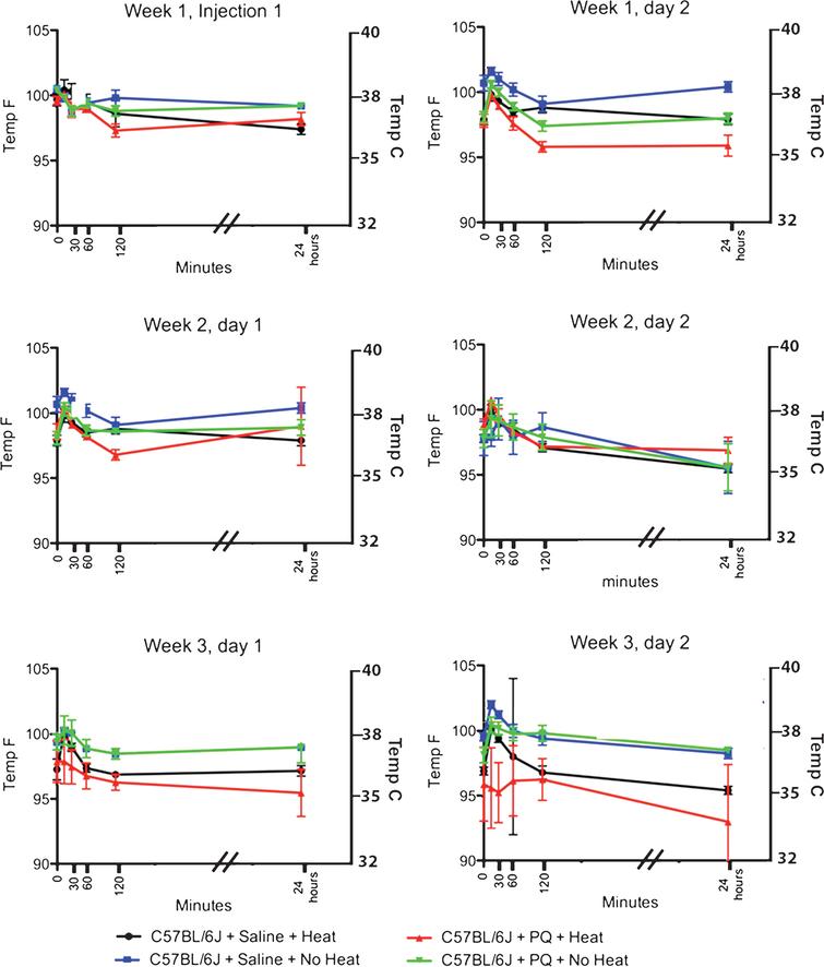 Effect of Paraquat on Core Temperature in C57BL/6J mice. Paraquat (2 injections of 10 mg/kg PQ/week spaced 48 hours apart for 3 weeks) administered to C57BL/6J mice has no significant effect on the core temperature of mice throughout the entire injection period. One does note, however, a slight hyperthermia that is observed 15 minutes after administration of paraquat (increase of 3%) starting after the 2nd paraquat injection that recedes within 30 minutes of administration.