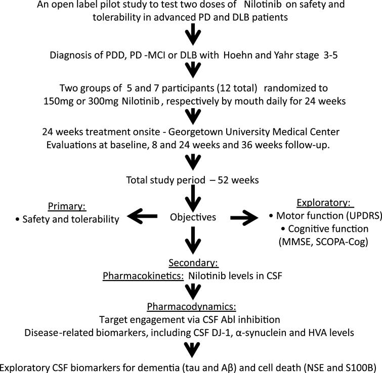 Design and milestones of an open-label, phase I clinical trial to evaluate the safety and efficacy of 150 mg and 300 mg Nilotinib for 24 weeks in patients with Parkinson’s disease (PD) with dementia (PDD) or PD with mild cognitive impairment (PD-MCI) or dementia with Lewy bodies (DLB). Cerebrospinal fluid (CSF), Mini Mental State Examination (MMSE), Abelson (Abl), homovanillic acid (HVA), β-amyloid (Aβ), Scales for Outcomes in Parkinson’s Disease-Cognition (SCOPA-Cog), Neuron Specific Enolase (SNE).