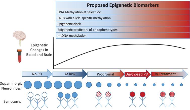 Proposed epigenetic-based biomarkers involving sites exhibiting concordant and epigenetic changes in blood and brain of PD patients.