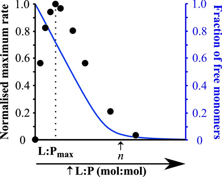 Influence of the L:P ratio on the kinetics of α-synuclein aggregation. This plot shows (i) the rate of α-synuclein aggregation (black) and (ii) the fraction of soluble protein (blue) in the presence of different DMPS: α-synuclein ratios. Figure adapted from [28].
