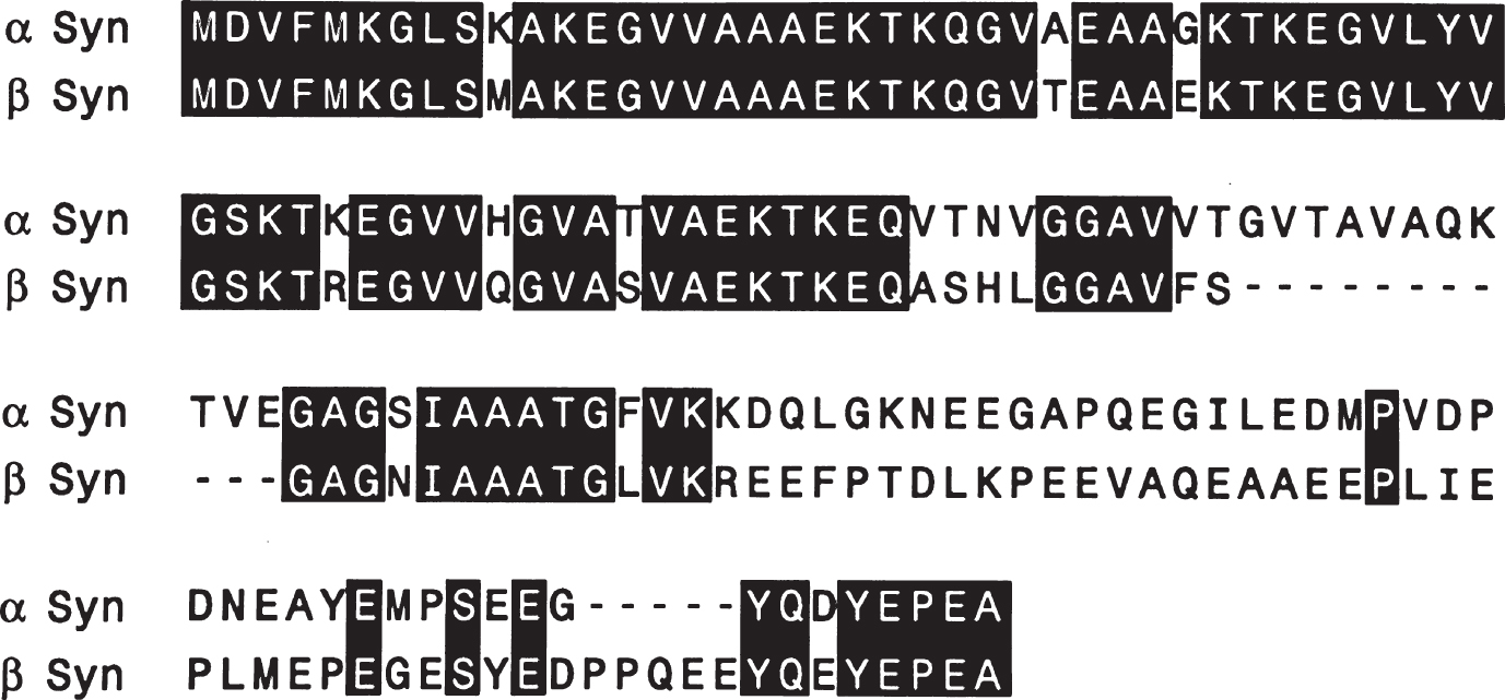 Sequence comparison of human α-synuclein and β-synuclein. Amino acids were aligned and two gaps introduced to maximize homology. Amino acid identities between α-synuclein (α-Syn) and β-synuclein (β-Syn) are indicated by black bars. From Jakes et al. [36].