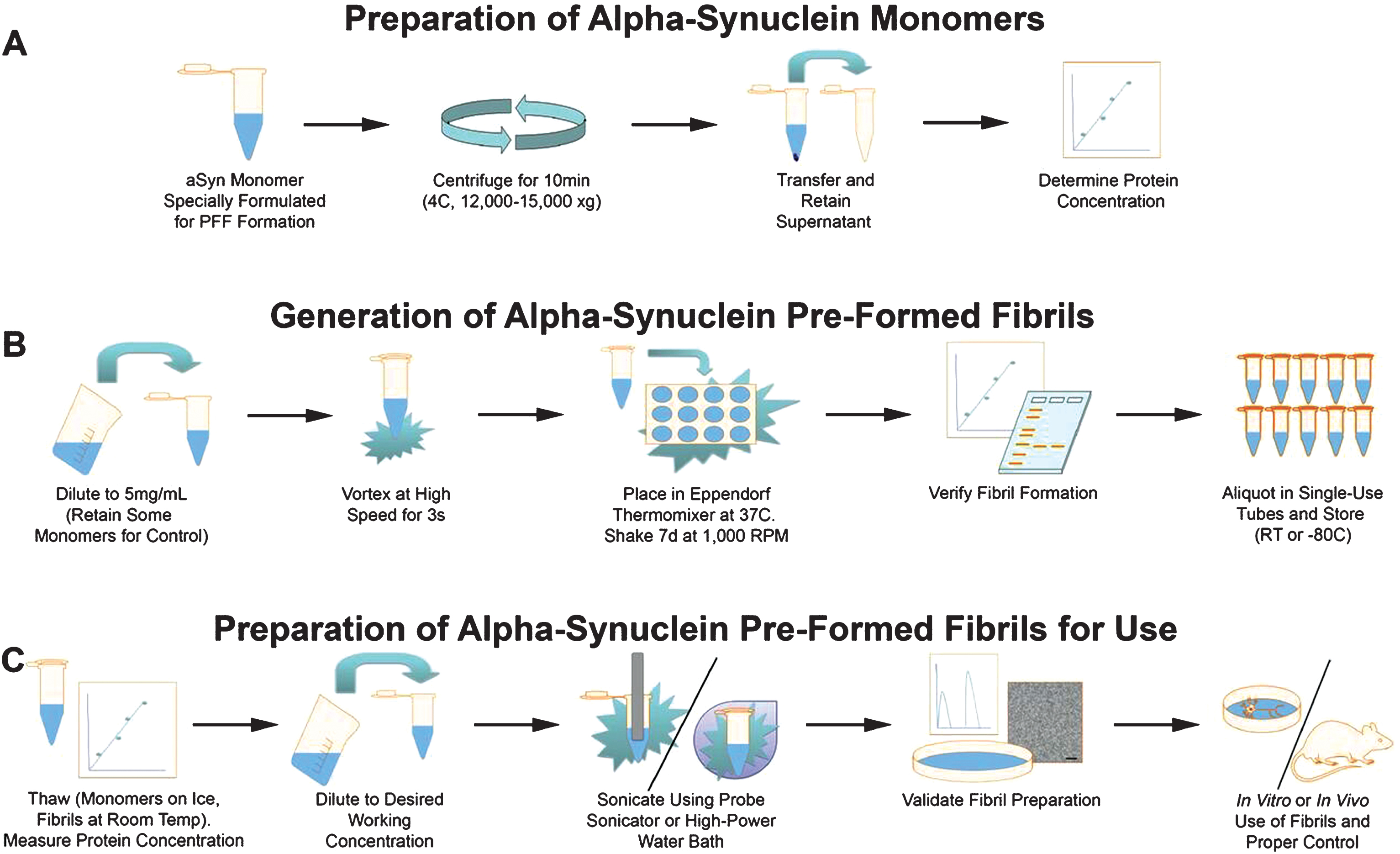 Schematic depiction of the protocol for generating alpha-synuclein pre-formed fibrils (aSyn PFFs) from specially formulated monomers. The protocol for generating aSyn PFFs from monomers includes three main stages, (A) preparation of aSyn monomers, (B) generation of aSyn PFFs from monomers, and (C) preparation of aSyn PFFS for use. A) The protocol begins with the monomeric recombinant aSyn protein specially formulated for aSyn PFF development, which is then centrifuged for the supernatant to be transferred and protein concentration to be measured. B) To generate aSyn PFFs, the solution is diluted, vortexed, and incubated at 37°C shaking for 7 days before quality control and storage. Please note that a portion of the monomeric starting material should be set aside at the beginning of this step for use as a negative control in quality control experiments, with even larger quantities set aside if monomers are to be used as the control protein in model generation. C) On the day of use, an aliquot of aSyn PFFs should be thawed, diluted after the protein concentration has been re-measured, sonicated, and quality controlled prior to use. The protocol corresponding to this schematic can be found in the Supplementary Material. aSyn, alpha-synuclein; PFF, pre-formed fibril; s, seconds; d, days; RT, room temperature.
