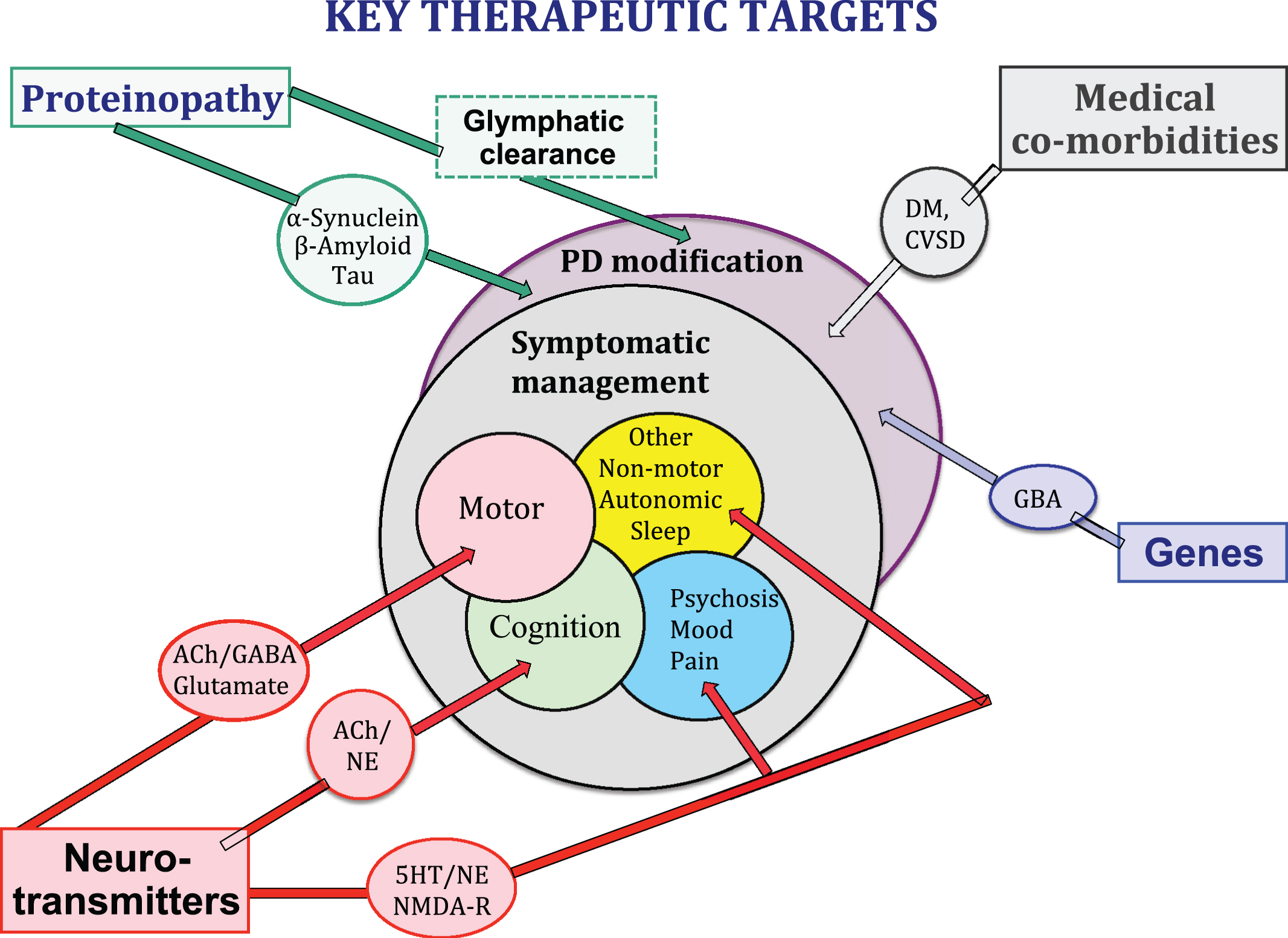 Neurotransmitter systems, proteonopathies, genes, CNS co-pathologies and medical co-morbidities all contribute to the clinical expression of the PD syndrome and may provide key therapeutic targets for symptomatic control of clinical symptoms and/or clinical disease modification.