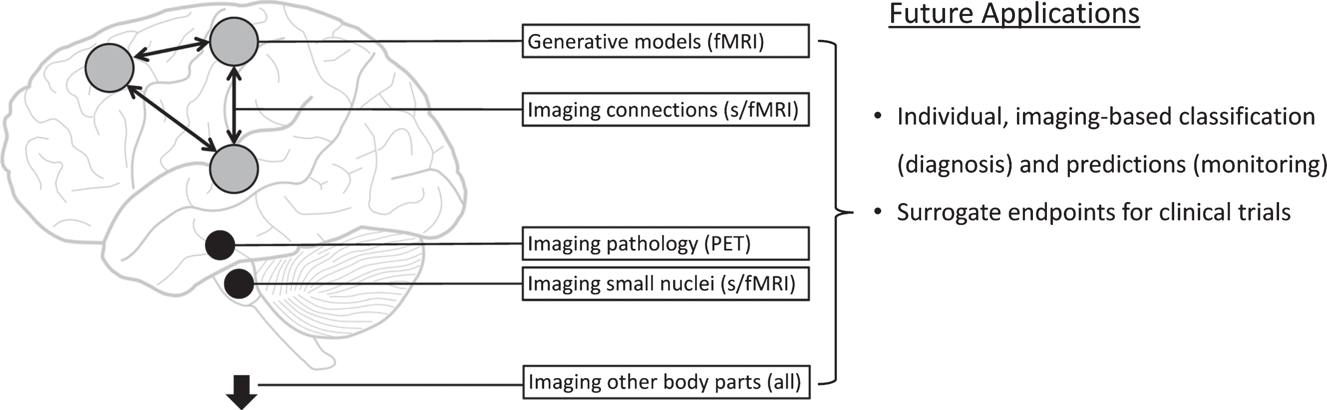 Potential new imaging methods in Parkinson’s disease. This figure schematically represents new approaches for functional magnetic resonance imaging (fMRI), structural MRI, and positron emission tomography (PET) imaging.