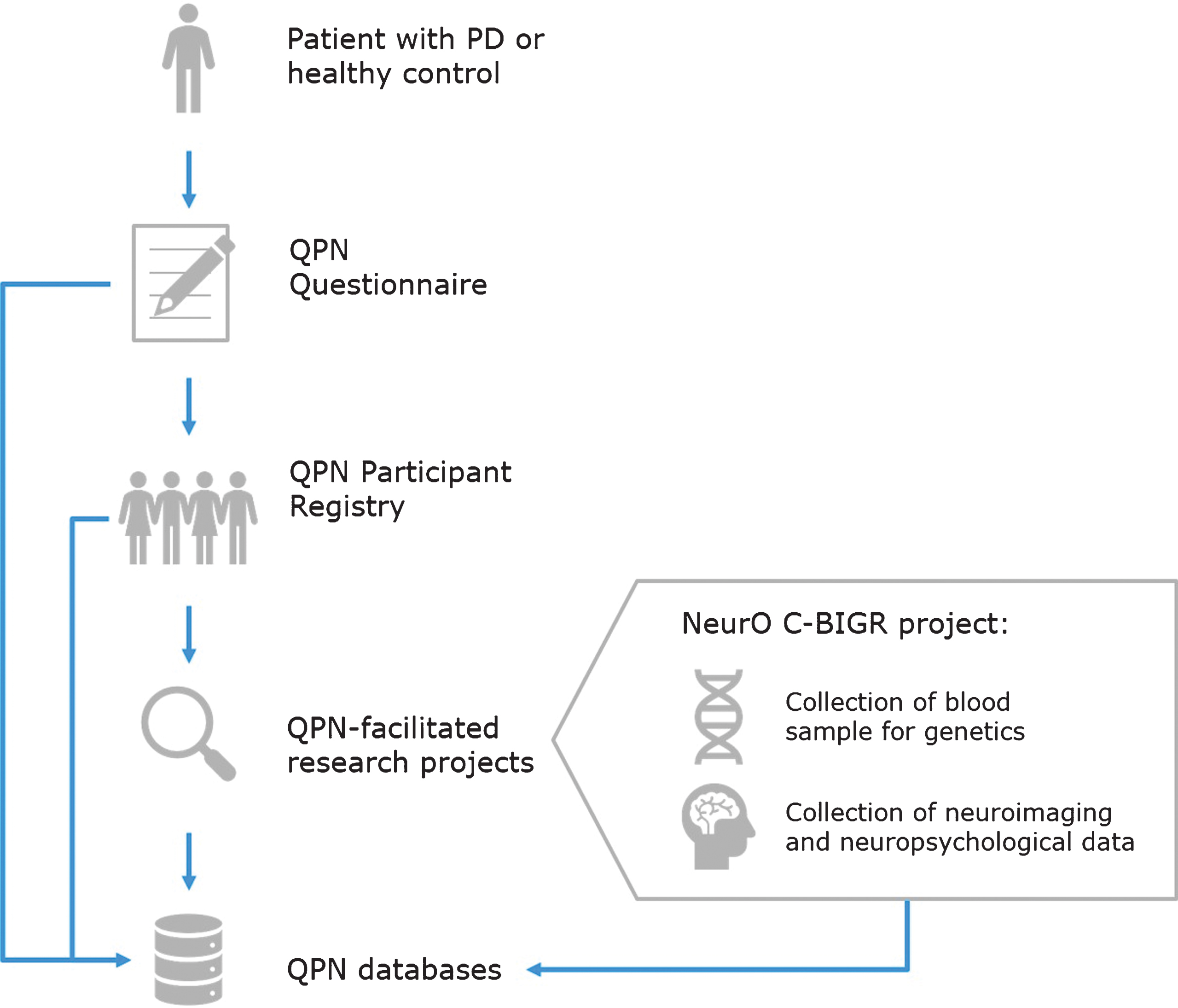 Quebec Parkinson Network (QPN) workflow for collection of patient data. Patients with PD or healthy controls who are recruited to the QPN Participant Registry must complete the QPN Questionnaire. Active members of the QPN Participant Registry may be selected for participation in QPN-facilitated research projects, such as the NeurO C-BIGR project which involves collection of blood samples for genetics and iPSCs derivation, as well as neuroimaging and neuropsychological data. Patient data collected through the QPN Questionnaire, medical records of patients in the QPN Participant Registry, and obtained via QPN-facilitated research projects are entered into the QPN databases.