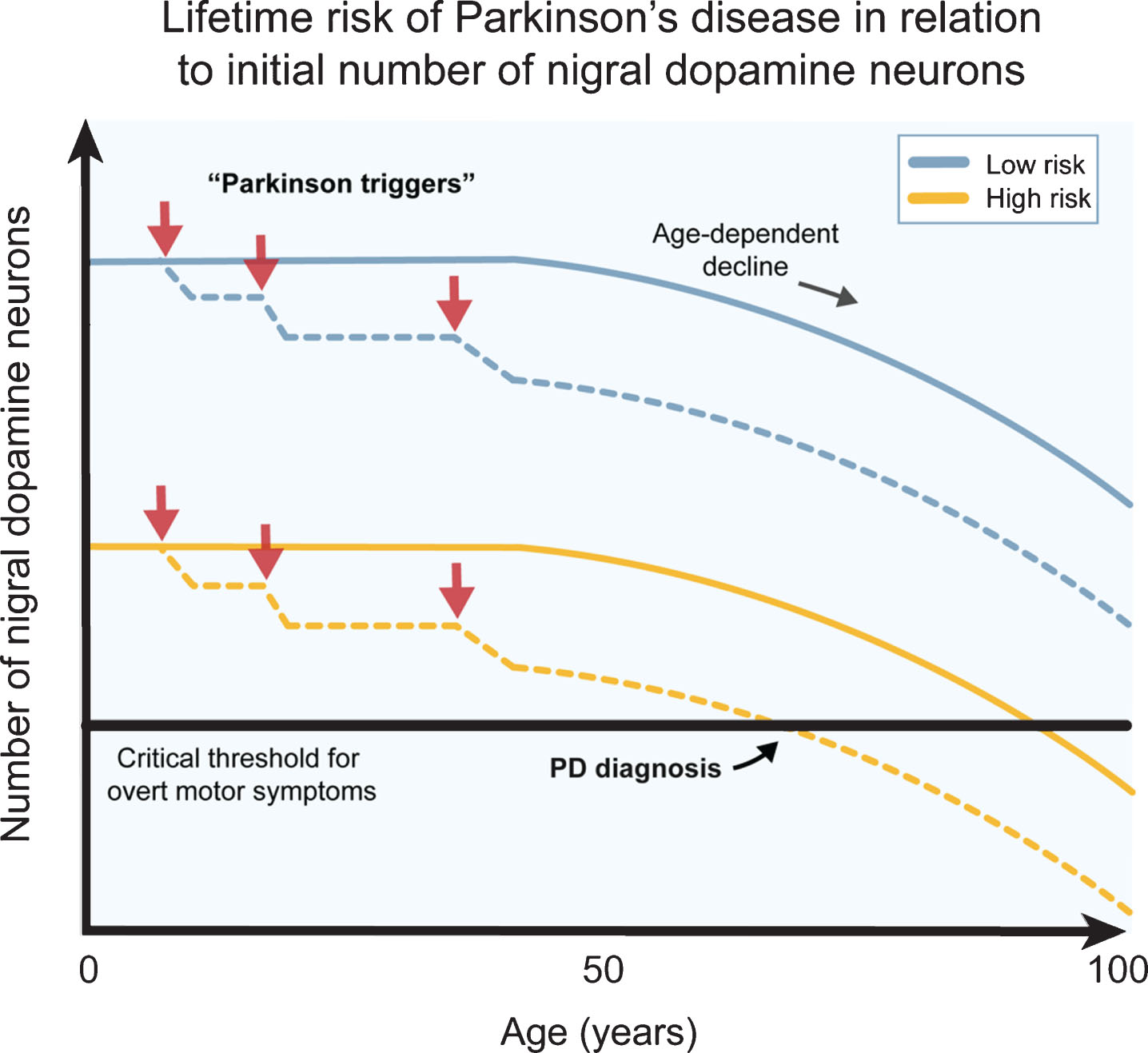 The number of dopamine neurons and Parkinson’s disease risk. Several genetic, epigenetic and non-genetic factors affect the generation of dopamine (DA) neurons and their survival during development and birth. This likely contributes to a natural high variation in healthy human subjects. Individuals born with higher number of DA neurons are more robust to Parkinson’s disease (PD) triggers (red arrows) since they can afford a higher cell loss before onset of motor symptoms (blue lines), while individuals born with a smaller starting population of DA neurons can afford a much lower cell loss from the exposure to PD triggers before the onset of motor symptoms (yellow lines). The combination of PD triggers and the natural age-related decline of DA neurons may therefore put some individuals at a greater lifetime risk of acquiring PD motor symptom. The DA neuron pool from birth may therefore be an important parameter when considering PD risk.