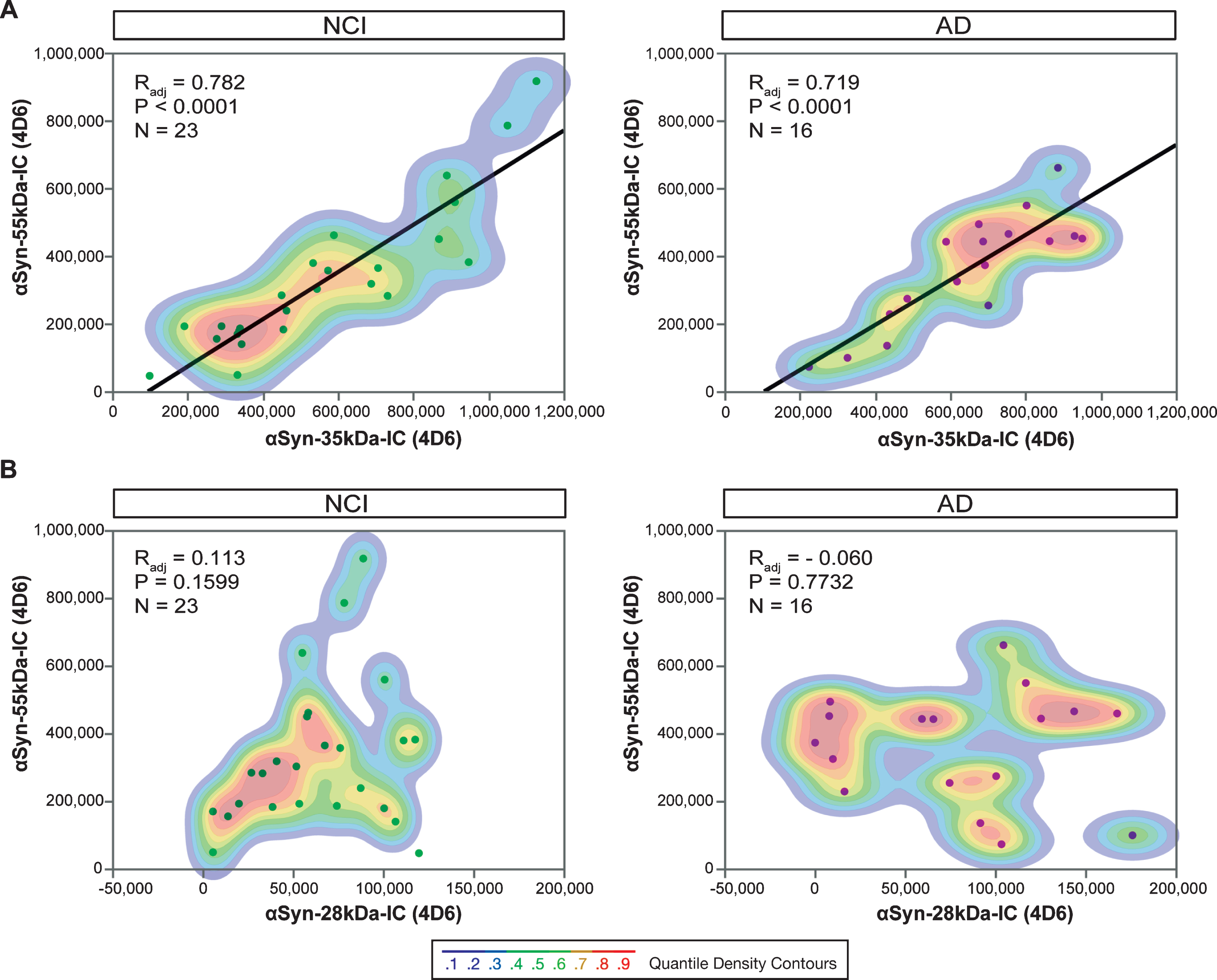 Relationships between 28-, 35- and 55 kDa αSyn oligomers in human brain tissue from cognitively intact subjects and subjects with AD within the ROS cohort. Regression analyses and quantile density contours for pair-wise comparisons between 35 kDa (A) or 28 kDa (B) dimeric αSyn and the ∼55–56 kDa putative αSyn tetramer detected in the intracellular-enriched fraction (IC). All species were detected with the monoclonal antibody 4D6. NCI, no cognitive impairment; AD, Alzheimer’s disease; ROS, Religious Orders Study.