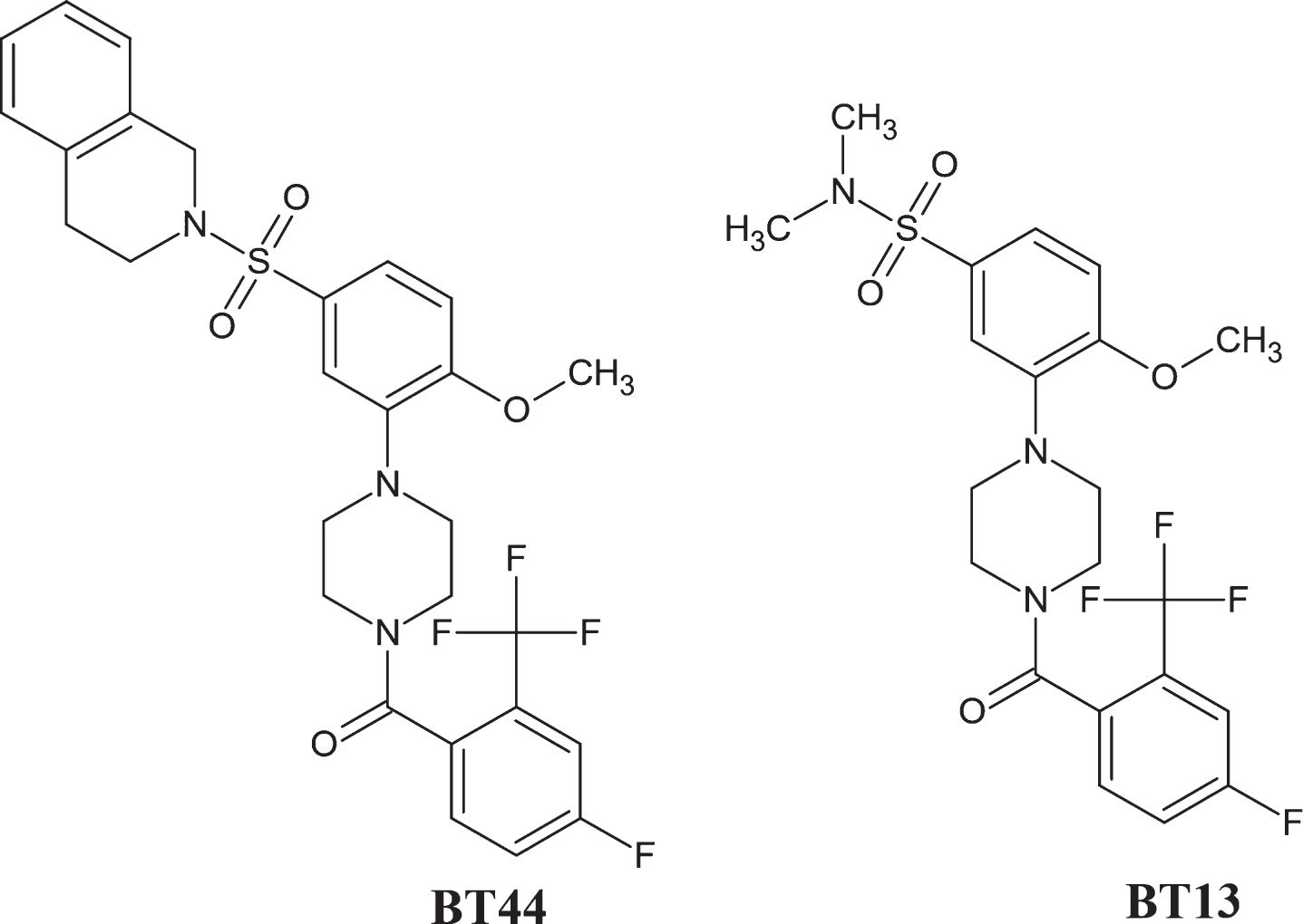 Chemical structure of BT44 ((4-5-((3,4-dihydroisoquinolin-2(1H)-yl)sulfonyl)-2-methoxyphenyl)piperazin-1-yl(4-fluoro-2-(trifluoromethyl)phenyl)methanone) and BT13.