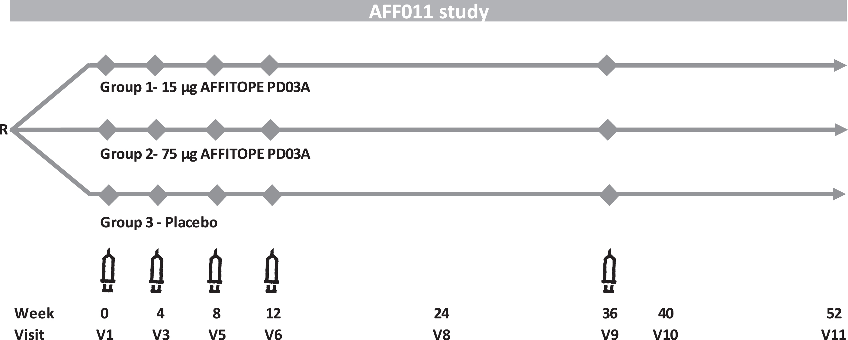 PD03A phase 1 study scheme.