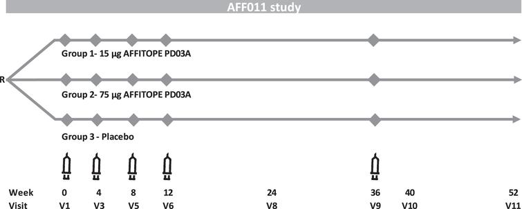 PD03A phase 1 study scheme.