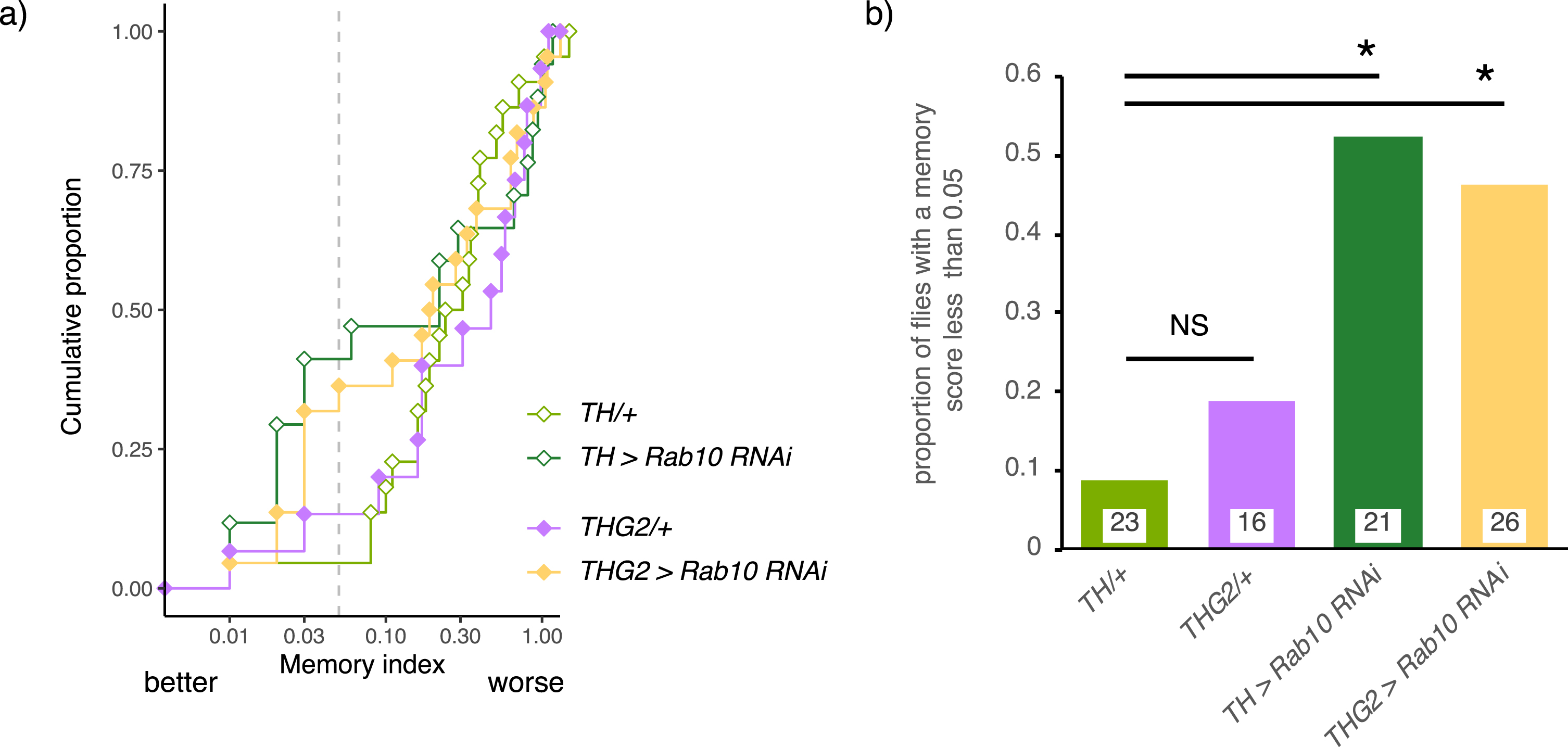 Memory depends on dopaminergic Rab10 but not LRRK2-G2019S. A) Depletion of Rab10 in the control background (TH > Rab10RNAi) increases the proportion of flies with low memory index (MI) compared to flies with no transgene expression (TH/+). Expression of LRRK2-G2019S has no effect on performance; either for the THG2/+v TH/+control flies, nor for the flies with Rab10RNAi. a) Raw scores, b) summary data. Exact genotypes and statistical results in Supplementary Table 6.