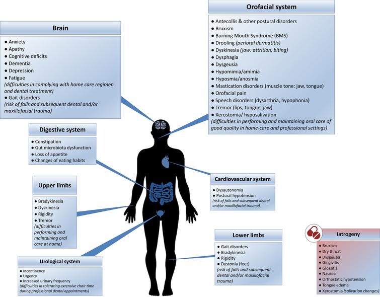 The direct and indirect impact of Parkinson’s disease on oral health and hygiene: contributing physical, psychological (blue boxes) and iatrogenic (red box) factors. (See online version for colour figure.)