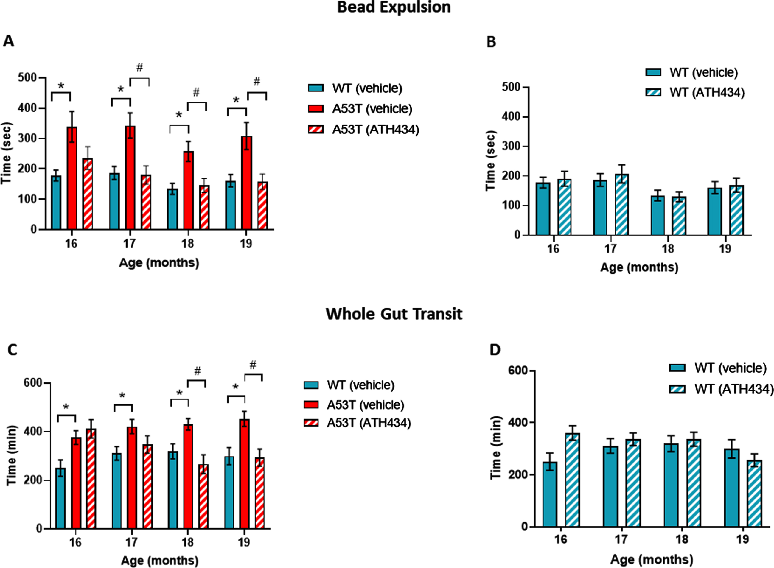 Effect of ATH434 on bead expulsion and whole gut transit in mice with PD symptoms (treatment group). Vehicle-treated A53T mice had significant deficits in colonic motility, as assessed by the bead expulsion test, when compared to vehicle-treated WT mice at all timepoints (p < 0.05). Overall, ATH434, administered from the beginning of month 15 to the beginning of month 19, reduced the deficit in colonic motility, with a significant reduction in bead expulsion time observed at 2, 3, and 4 months after commencement of feeding in A53T mice (p < 0.05) (A). ATH434 had no effect on bead expulsion times in WT mice (B). Whole gut transit time was significantly delayed in A53T vehicle-treated mice when compared with vehicle-treated WT mice at all time points (p < 0.05). ATH434 significantly reduced whole gut transit time in A53T mice following 3 and 4 months of treatment (p < 0.05) (C), but had no effect on WT mice (D). Data were analyzed by two-way ANOVA (mixed model) followed by Sidak’s multiple comparison post hoc test. Data represent the mean±SEM; *p < 0.05 for WT (vehicle) versus A53T (vehicle); #p < 0.05 for A53T (vehicle) versus A53T (ATH434); n = 17–24 for WT vehicle and WT ATH434 mice and n = 9–18 for A53T vehicle and A53T ATH434 mice.