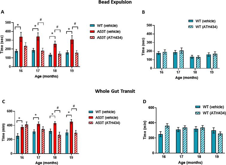 Effect of ATH434 on bead expulsion and whole gut transit in mice with PD symptoms (treatment group). Vehicle-treated A53T mice had significant deficits in colonic motility, as assessed by the bead expulsion test, when compared to vehicle-treated WT mice at all timepoints (p < 0.05). Overall, ATH434, administered from the beginning of month 15 to the beginning of month 19, reduced the deficit in colonic motility, with a significant reduction in bead expulsion time observed at 2, 3, and 4 months after commencement of feeding in A53T mice (p < 0.05) (A). ATH434 had no effect on bead expulsion times in WT mice (B). Whole gut transit time was significantly delayed in A53T vehicle-treated mice when compared with vehicle-treated WT mice at all time points (p < 0.05). ATH434 significantly reduced whole gut transit time in A53T mice following 3 and 4 months of treatment (p < 0.05) (C), but had no effect on WT mice (D). Data were analyzed by two-way ANOVA (mixed model) followed by Sidak’s multiple comparison post hoc test. Data represent the mean±SEM; *p < 0.05 for WT (vehicle) versus A53T (vehicle); #p < 0.05 for A53T (vehicle) versus A53T (ATH434); n = 17–24 for WT vehicle and WT ATH434 mice and n = 9–18 for A53T vehicle and A53T ATH434 mice.