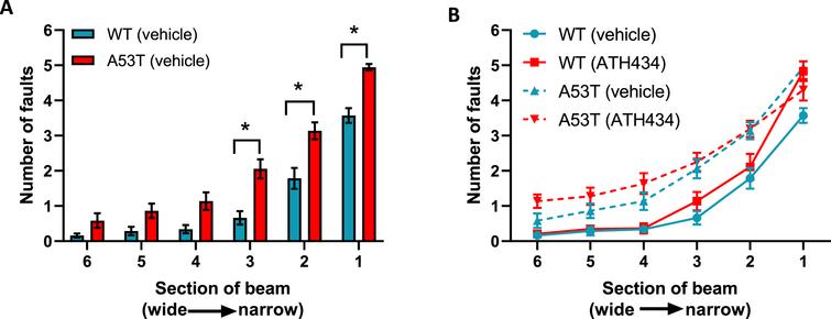 Lack of effect of ATH434 on motor deficits in mice with PD. When compared with vehicle-treated WT mice, vehicle-treated A53T mice had significant motor deficits (p < 0.05) (A), however the advanced motor dysfunction could not be reversed with ATH434 (B). Data were analyzed by two-way ANOVA (mixed model) followed by Sidak’s multiple comparison post hoc test. Data represent the mean±SEM; *p < 0.05, n = 17–24 for WT vehicle and WT ATH434 mice and n = 9–18 for A53T vehicle and A53T ATH434 mice.