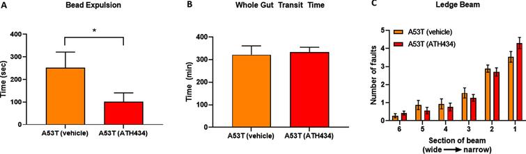 Effects of ATH434 when administration before the development of GI symptoms (preventative paradigm). ATH434 had a significant effect on bead expulsion time (A). A53T mice treated for 3 months with ATH434 prior to the onset of GI dysfunction, had reduced bead expulsion times when compared with vehicle-treated A53T mice at 15 months of age (p < 0.05). ATH434 had no effect on whole-gut transit time at 15 months (B) or motor dysfunction as assessed by the ledge beam test (C). Data were analyzed by unpaired t-test. Data represent the mean±SEM; *p < 0.05. n = 8 A53T mice in vehicle group and n = 10 mice in ATH434 group.
