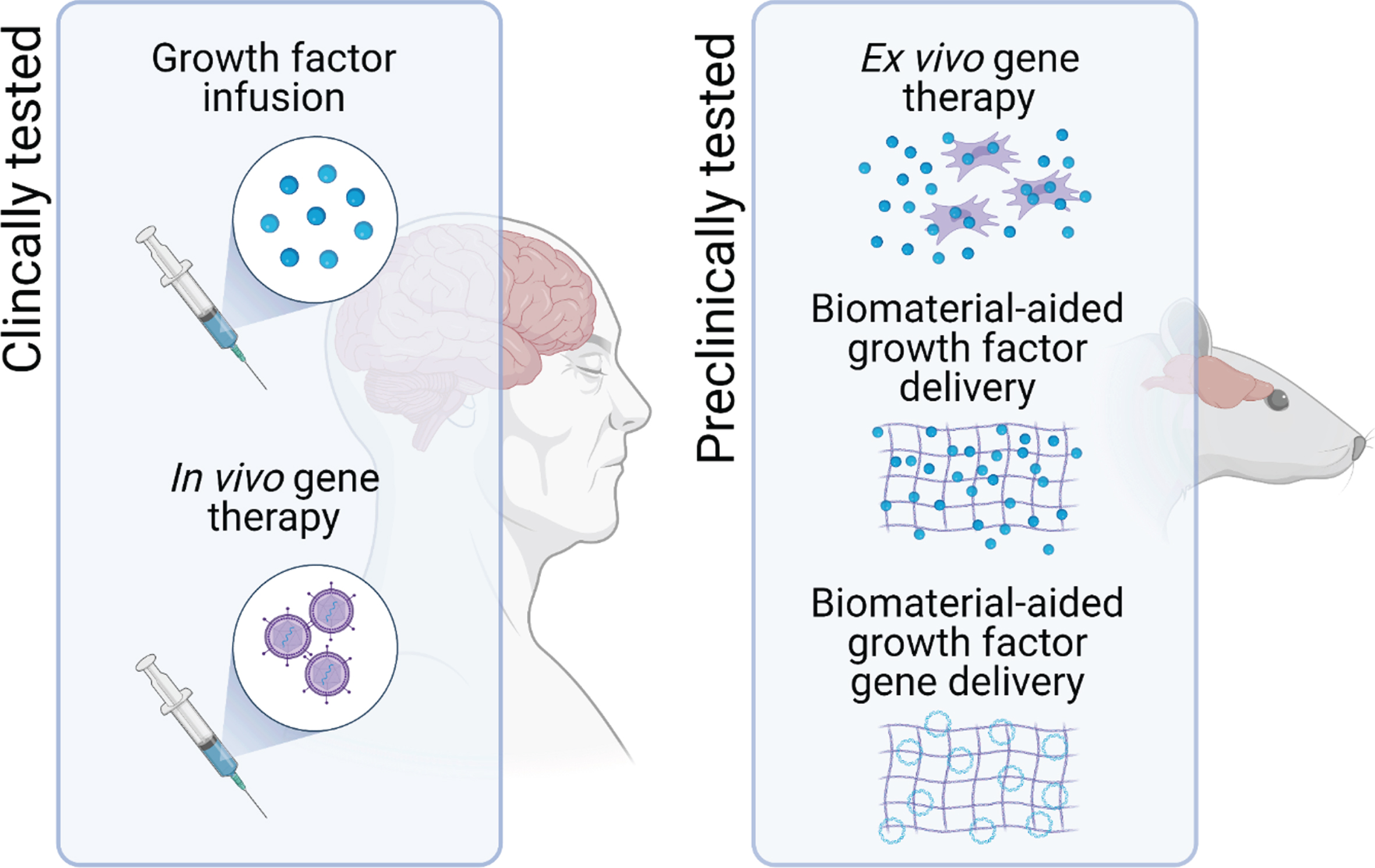 Potential delivery systems for neurotrophic growth factor delivery in PD. To assess the therapeutic potential of neurotrophic factor therapy, direct infusion of the growth factor protein into the target brain region and in vivo gene therapy have progressed to clinical trials in patients with PD. However, one of the major hurdles to the clinical translation of growth factor therapeutics for PD remains issues related to the delivery of these protein drugs. To address this, other delivery systems, including ex vivo gene therapy and biomaterial-aided protein and gene delivery are in preclinical development.