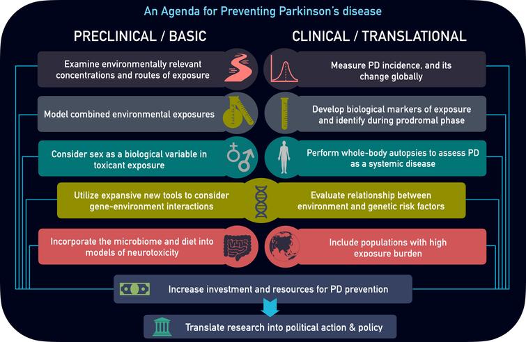 Parkinson’s disease Prevention Agenda. Preclinical and clinical research areas of focus to better characterize environmental influence and prevent Parkinson’s disease.