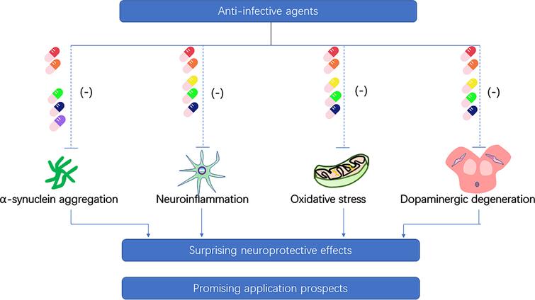 Neuroprotective property of anti-infective agents on the pathogenesis of Parkinson’s disease. (Ceftriaxone-red pill, doxycycline-orange pill, minocycline-yellow pill, rifampicin-green pill, rapamycin-dark blue pill, geldanamycin-purple pill).