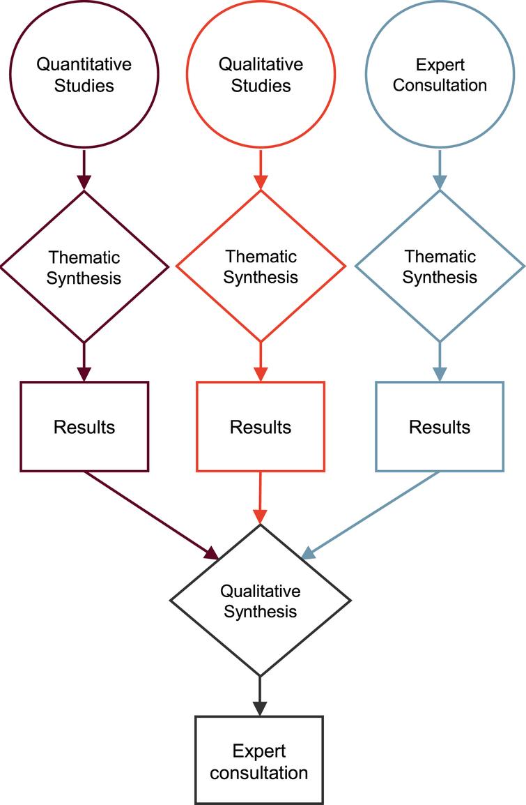 Results-based convergent mixed-methods synthesis design according to Hong et al. [25].