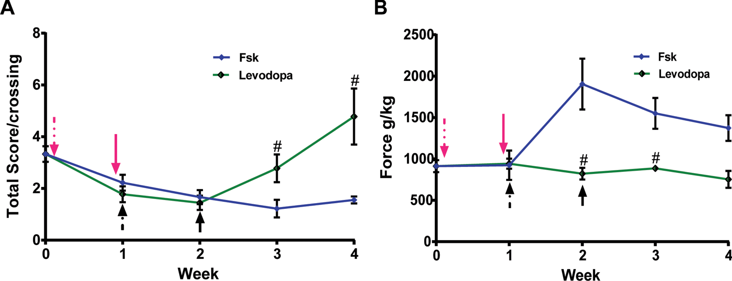 Intraperitoneal administration of Forskolin, but not Levodopa treatment, exhibits long-term anti-Parkinsonian effects in PINK1-KO rats. Representative longitudinal washout studies in 10-month-old WT and PINK1-KO rats that were I.P. treated with Levodopa (green trace) or with Forskolin (magenta trace) for ten days (dashed magenta arrow) prior to cessation of the treatment (solid red arrow) and assessed for motor coordination by using a beam balance (A) or assessed for grip strength by using a grip strength analyzer (B). In brief, while Levodopa can temporarily alleviate motor symptoms, only the anti-PD effects of Forskolin persisted more than two weeks following the cessation of treatment. Additionally, only I.P. administration of Forskolin but not Levodopa treatment was able to restore hindlimb muscle strength significantly in PINK1-KO rats, an anti-parkinsonian effect that persists following the cessation of treatment (solid arrow, magenta = Forskolin; Black = Levodopa).