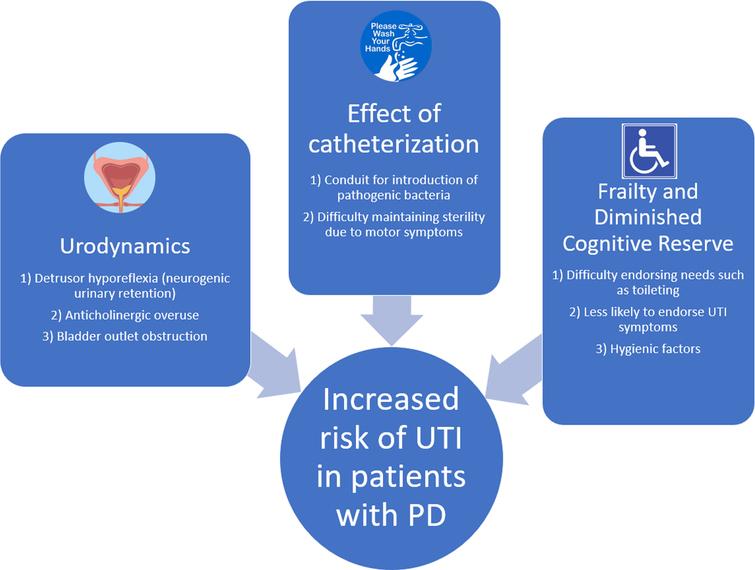 Risk factors for UTI in Parkinson’s disease.
