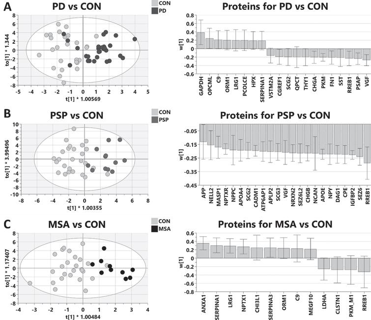 Multivariate modeling of CSF protein profiling comparing parkinsonian disorders vs. healthy control (CON). Left panels are OPLS-DA scores scatter plots: x-axis (t[1]) are scores of first predictive component separating individual samples in case vs control classes; y-axis (t0[1]) represents scores of the orthogonal component of within class differences. Right panels are weights of individual proteins contributing to the optimized models.The positive weights indicate an increase in disease compared to control.A) PD (n = 28) vs. Control (n = 26), R2X = 0.811, R2Y = 0.552 Q2 = 0.465 p = 3.1e-5; B) PSP (n = 12) vs. Control (n = 26), R2X = 0.877, R2Y = 0.626, Q2 = 0.382, p = 0.015; C) MSA (n = 10) vs. Control (n = 26), R2X = 0.851, R2Y = 0.613, Q2 = 0.373, p = 0.025.
