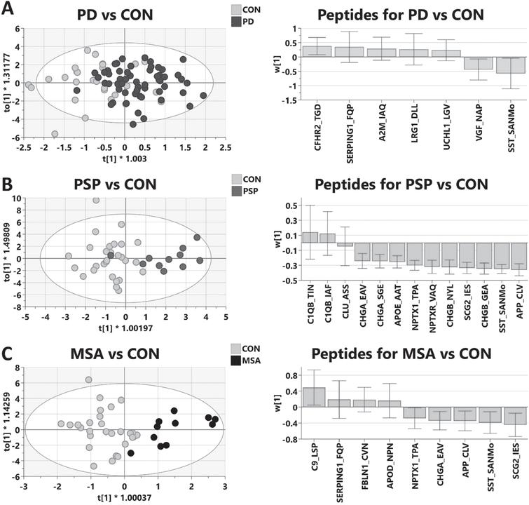 Multivariate modeling of MRM validation comparing parkinsonian diseases to healthy control (CON). Linear regression analysis was employed to identify top candidates from MRM validation to build models for each disease. Further refinement results in optimized models shown. Left panels are OPLS-DA scores plots; right panels are weights of individual peptides contributing to optimized model.The positive weights indicate an increase in disease compared to control. Model statistics: A)PD (n = 59) vs. Control (n = 28): R2X = 0.933, R2Y = 0.339, Q2 = 0.24, p = 0.015; B) PSP (n = 11) vs. Control (n = 28): R2X = 0.921, R2Y = 0.631, Q2 = 0.563, p = 9.4e-5; C) MSA (n = 11) vs. Control (n = 28), R2X = 0.937, R2Y = 0.668, Q2 = 0.533, p = 0.0016.