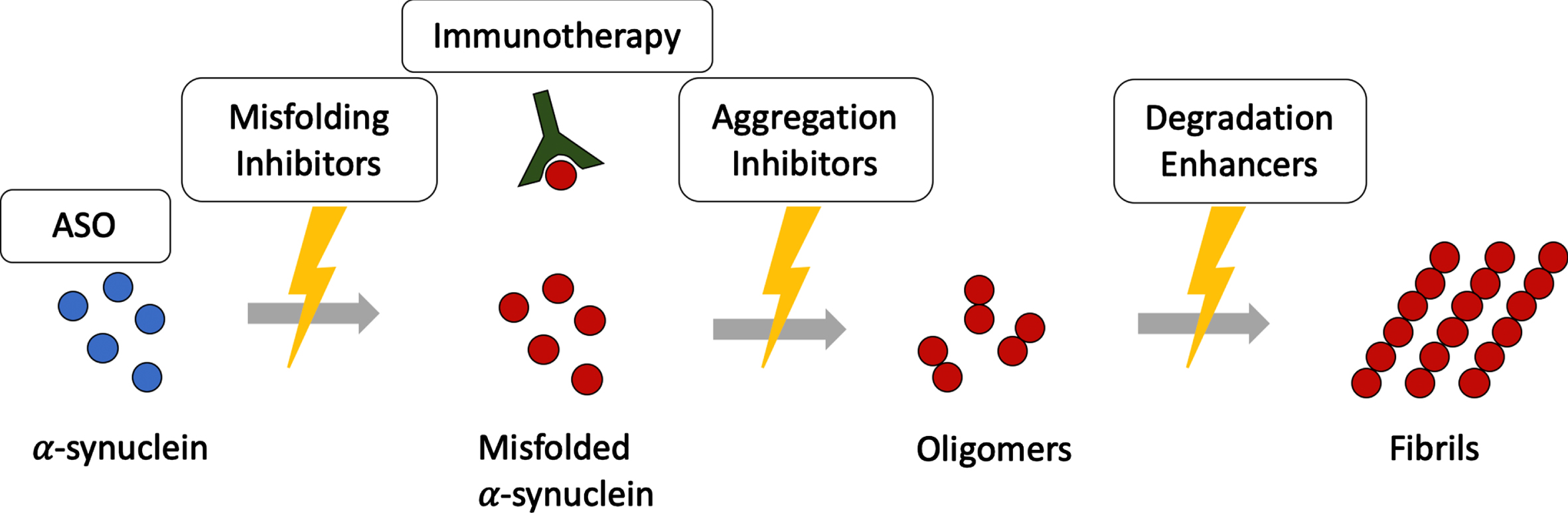 Disease modifying therapies targeting α-synuclein assemblies at different stages. Disease modifying therapies target different levels along the α-synuclein aggregation cascade. ASO, antisense oligonucleotides.