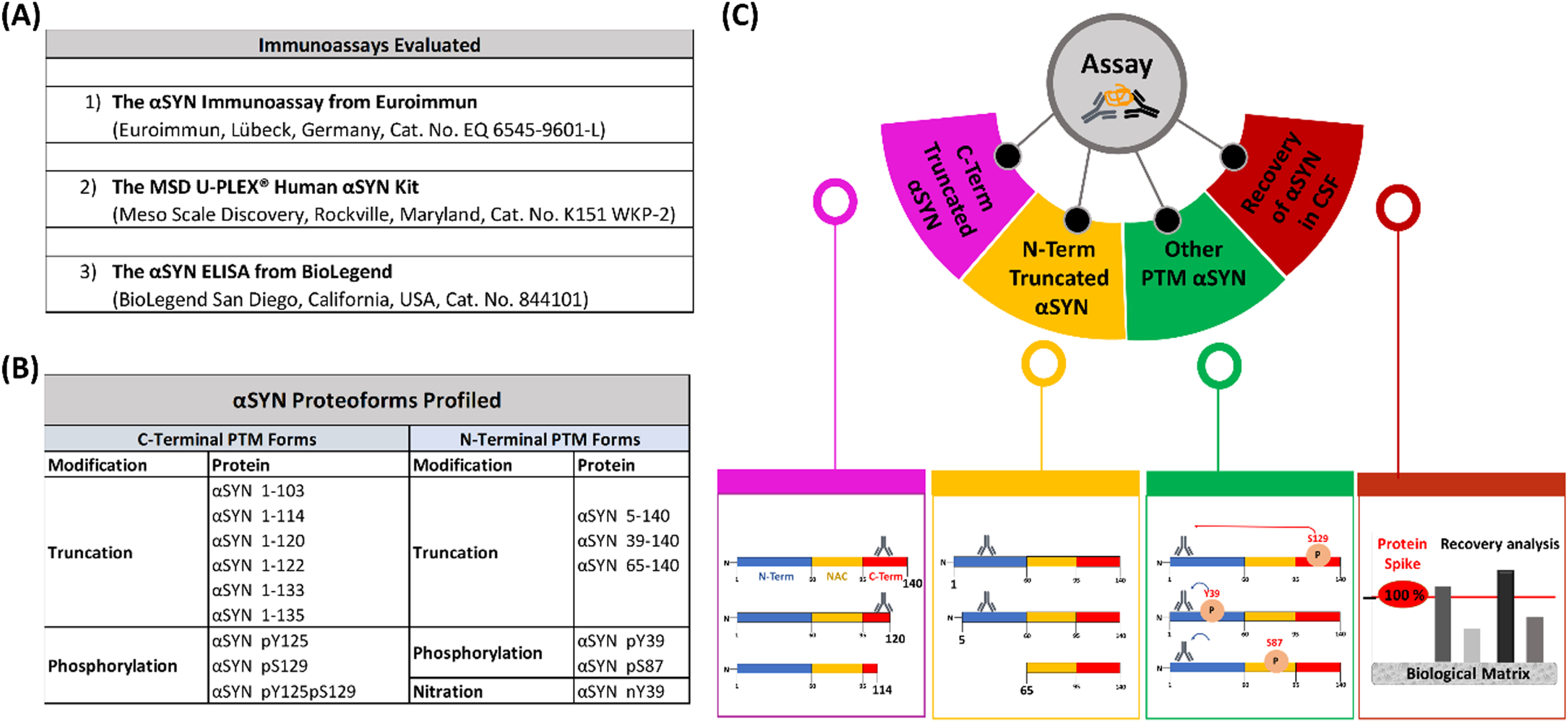 Tables of the evaluated immunoassays (A) and profiled αSYN proteins (B) and schematic depiction of the workflow (C) deployed to evaluate and characterize the three immunoassays.