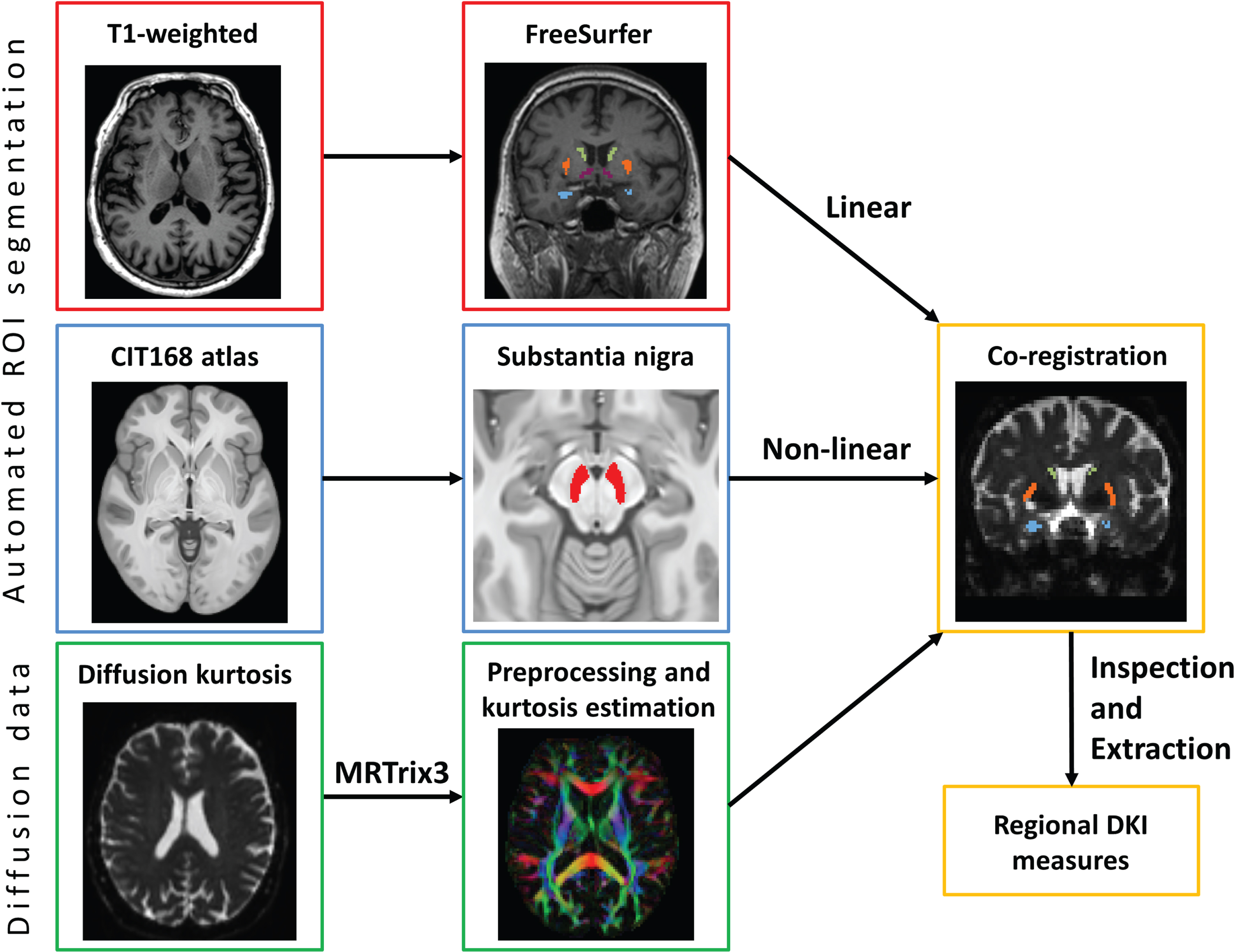 Stages of image processing. Beginning with the raw T1 image, diffusion data and atlases, our processing pipeline included automatic brain segmentation using FreeSurfer, substantia nigra mask from the CITI atlas, and the preprocessing of the diffusion data using MRTrix3, before co-registration of the three to extract diffusion kurtosis imaging values for key regions of interest. Images of T1-weighted and diffusion data were taken from an example participant.