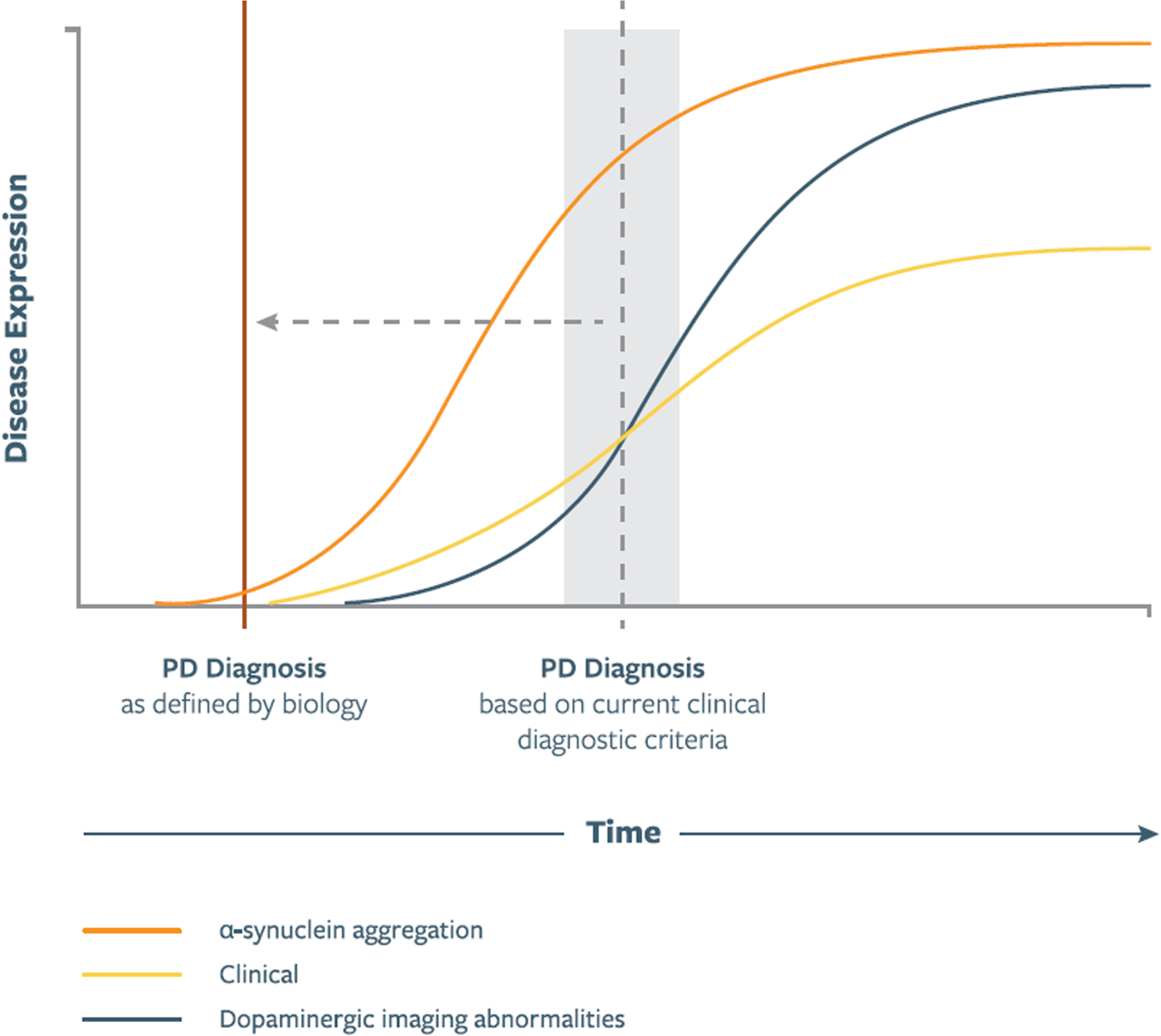 Illustration of putative relationship between asyn aggregation, dopaminergic dysfunction, and clinical manifestations as represented in a biologic staging system for PD. Curve shapes, slopes, and their temporal relationship are qualitative and hypothetical. Time of PD Diagnosis signifies diagnosis based on current clinical diagnostic criteria, which in the proposed staging system will be redefined to the time of onset of the biological changes. In future versions of the staging system these curves will be shaped by data emerging from longitudinal studies.