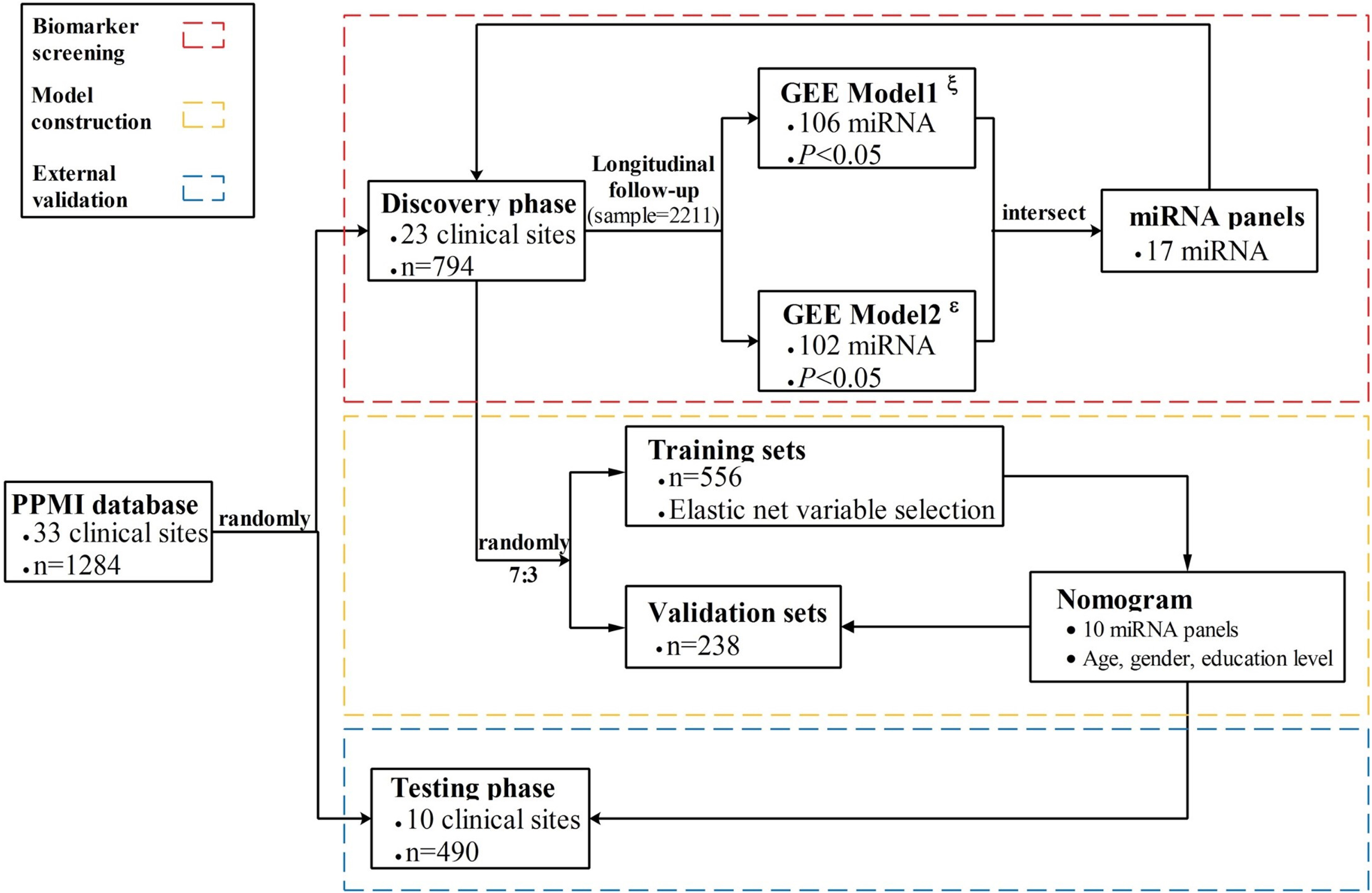 Flowchart of the study design. The nomogram was developed and validated in three phases, including biomarker screening, model construction, and external validation. For the biomarker screening phase, GEE model1ξ used the HY stages as an outcome indicator, while GEE model2ɛ used MDS-UPDRS as an outcome.